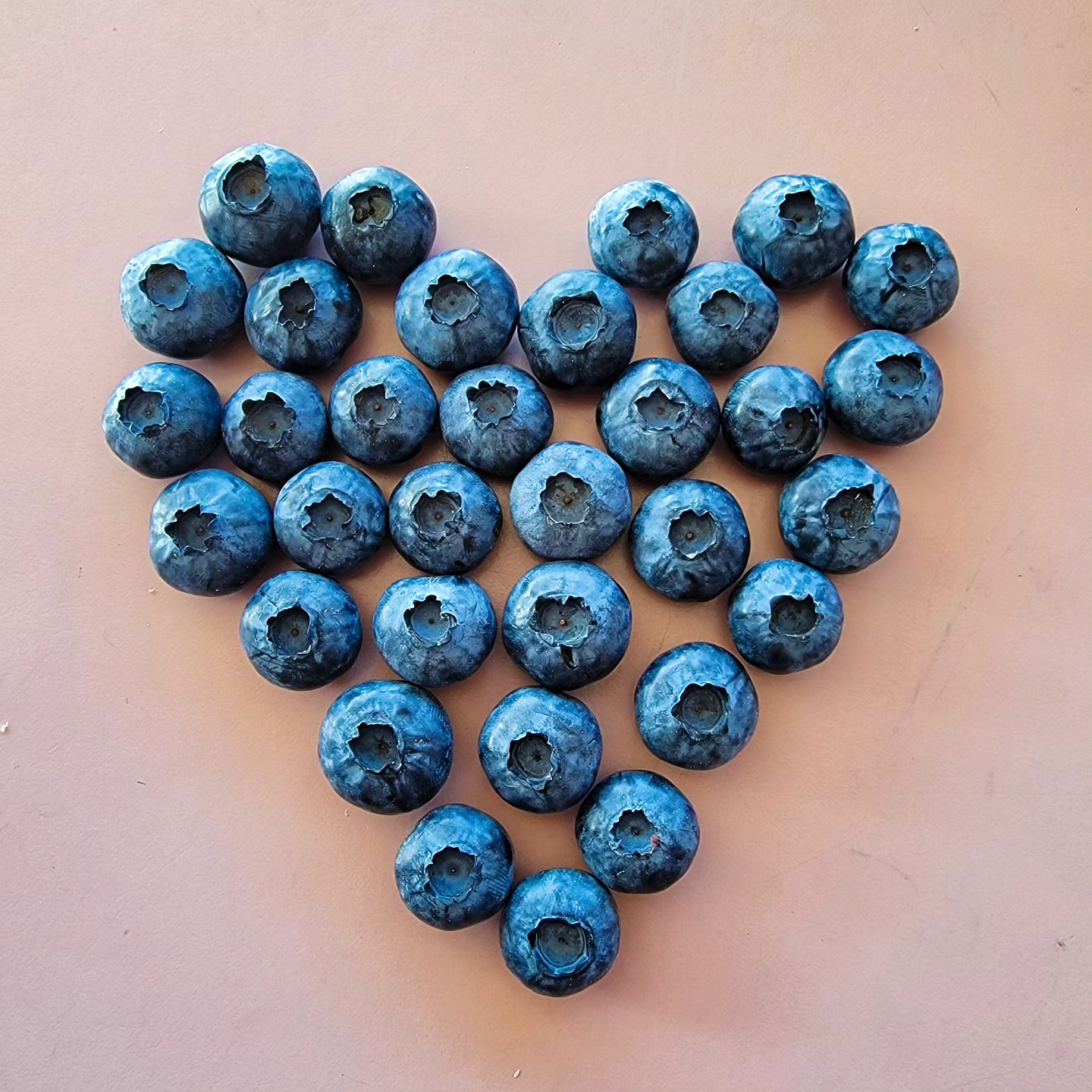 Do you love blueberries as much as we do? Then come on down to our farm store to treat yourself to box of these delicious berries. We are open from 9:00 AM to 6:00 PM everyday.
.
.
.
#Maskeenfarms #Farm #BlueberryFarm #Blueberry #Blueberries #2023 #BC #Vancouver #Surrey #Richmond #Langley #BeautifulBC #Nature #Outdoors #Summer #Spring #Agriculture #Health #Healthy #Food #Fruit #Sunset #Instagram #Healthylifestyle #Season #Green #Sustainable #Honey #Bees #Season #Duke