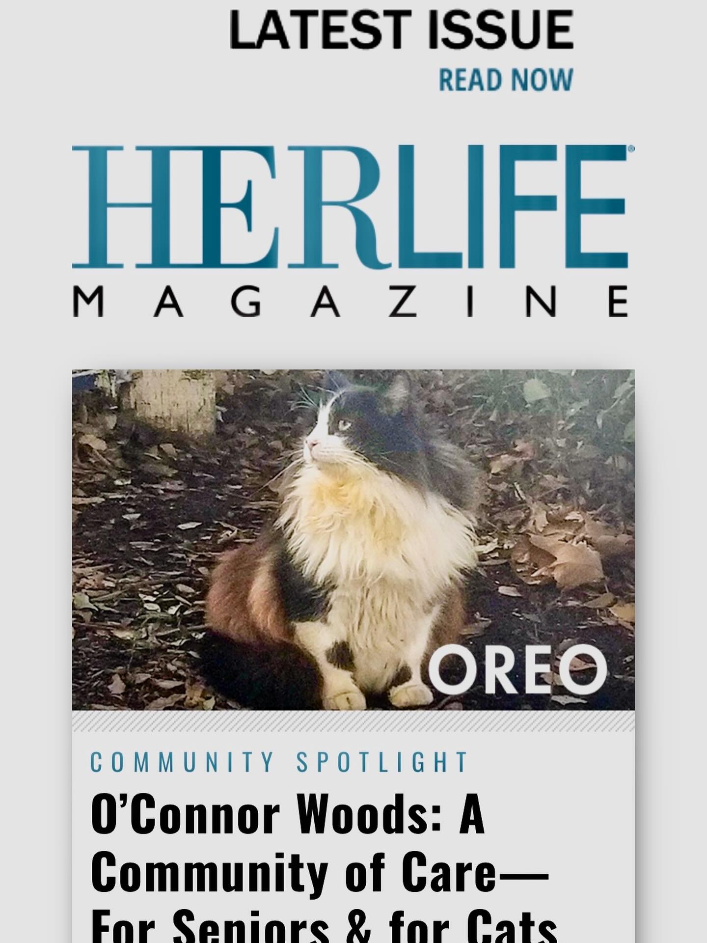 We are very excited to share that we are in this months issue of Herlife Magazine!!!!
Pick up a copy or check it out at herlifemagazine.com