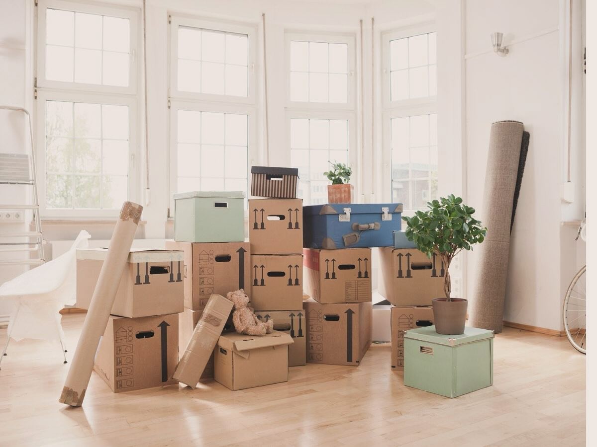 Kedves Vendégeink!
Február végén a Fashion Beauty Szépségszalon költözik! Egy korszak lezárul, de egy sokkal jobb jön a helyében. Bővülni fogunk, több szolgáltatással és szakemberrel várunk majd Bennetek! @fashionbeauty_szepsegszalon @melindapoznik @n_savanya