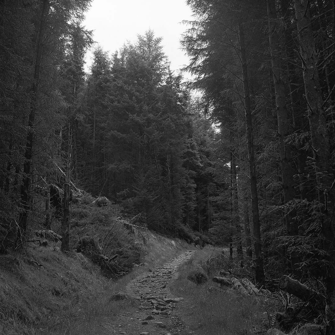 We have some stunning photography by Ben Harrington. Come and see his work, upstairs @granthammuseum on the 14th and 15th September as part of #granthamartstrail #artist #investsk #art #photogrphy #creative #talent #grantham #granthammuseum