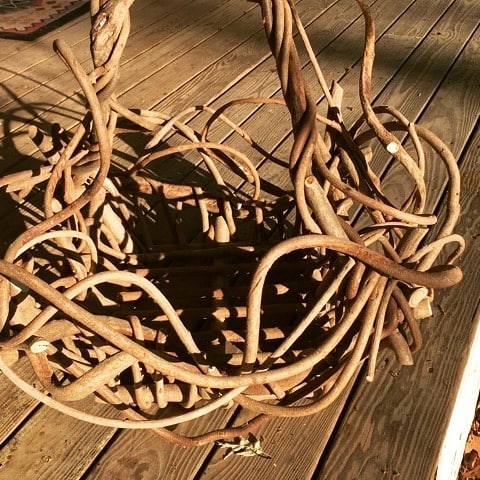 Wisteria Vine Basket