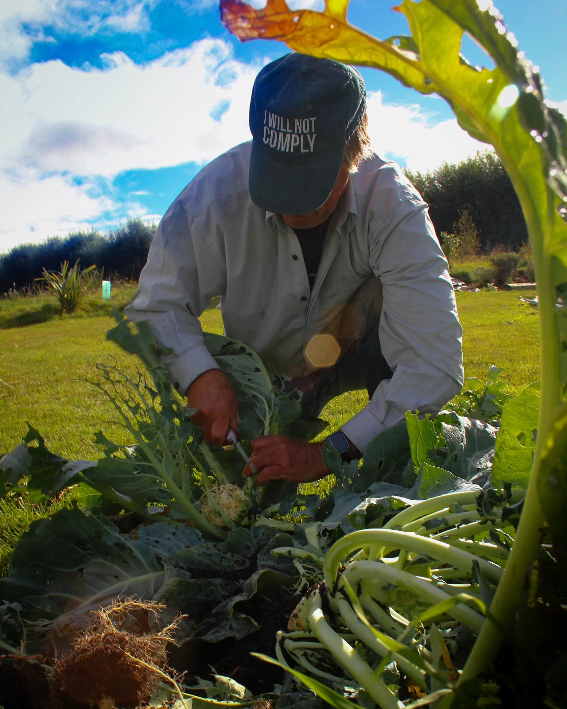 This year we're helping out at our local "Food Forest". It's a great way to build community and learn tons of new skills, not to mention have some great veggies at harvest time!
IMAGE CREDIT: Dexter Bergen Richards
.
.
.
@purenewzealand #newzealand #wanaka #lovewanaka @wanaka #mountainspirit #meditation #retreats #yinyoga #experientialeducation #yurtstay #musicstudio #haweafoodforest #dexterbrichards