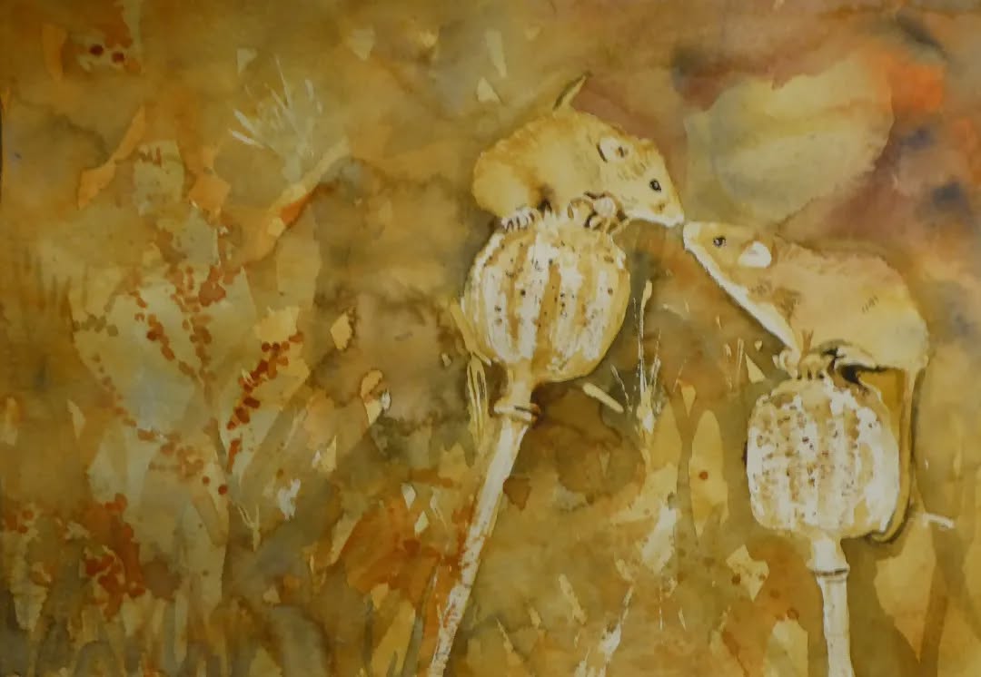 Field Mice on Poppy Seed heads
Watercolour
Sold to our friends yesterday, at Hampshire Open Studios @galleryno30 Petersfield.
Matthew 6 Verses 25-34
"See how the flowers of the field grow...If that is how God clothes the grass of the field... will he not much more clothe you---you of little faith? So do not worry ... but seek first his Kingdom and his righteousness, and all these things will be given to you as well."
"Field mice thrive in woodland, rough grassland and gardens.
They store berries and seeds in the autumn in underground burrows or sometimes in old birds' nests." Woodland Trust
#watercolourpainting #watercolours #watercoloursketch
#field #mice #miceofinstagram #woodlandconservation #woodland #woodlandtrust #artist #womenofillustration #womenartistsofinstagram #womenartists #wildlifeconservation #poppyseeds #poppyseedheads #petersfieldartsandcrafts #hampshireartgallery #hampshireartists #galleryno30 #fieldmice #seeds #christianartist #christianart