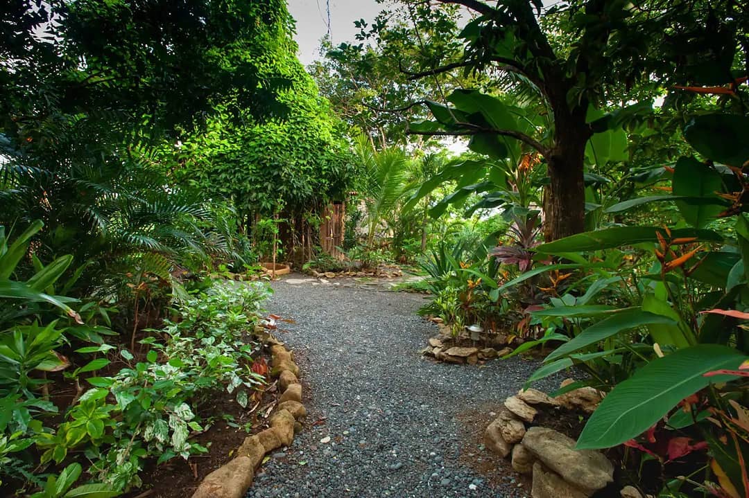 Shady jungle paths lead the way to each of our rooms, while the Pacific Ocean is just steps away!
At La Finca, you have the best of both worlds!
🌿🌊
Los senderos sombreados de la jungla conducen a cada una de nuestras habitaciones, ¡mientras que el Océano Pacífico está a solo unos pasos de distancia!
¡En La Finca, tienes lo mejor de ambos mundos!
🌿🌊
#lafincacambutal #lafinca #cambutal #boutiquehotel #azuero #lossantos #getaway #digitalnomad #explore #panama #pacific