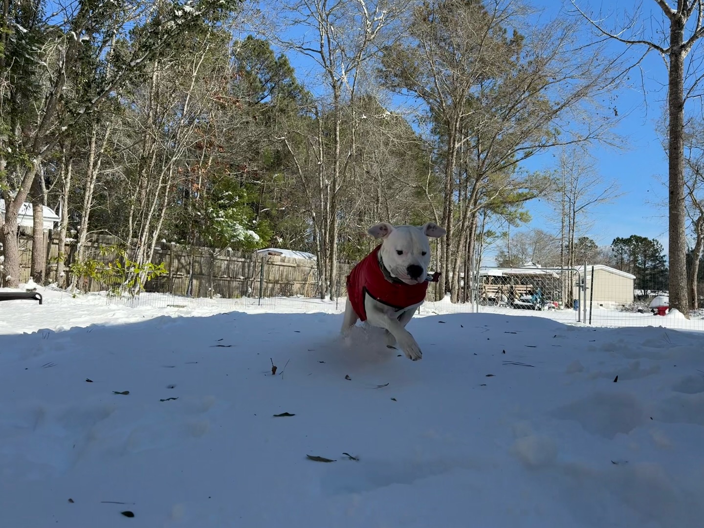 Duke says “Stay home and enjoy a day off!”
Woodies will be back open Tuesday, February 3rd.
