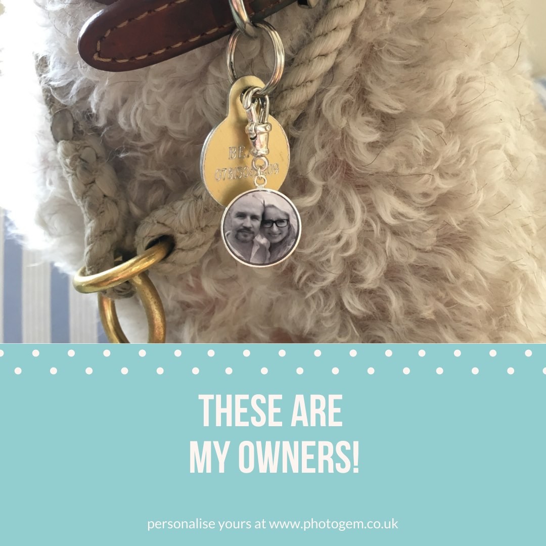 Now if I get lost you can see what my owners look like! Personalise your tag now at https://photogem.co.uk/.../dog-collar-bag-accessory-with...
.
.
.
#dogcollarshop #idfordogs #identification #findmyowners #bagtag #personalisedbagtag #bagtaggift #photogem #bagattachments #bagaccessories