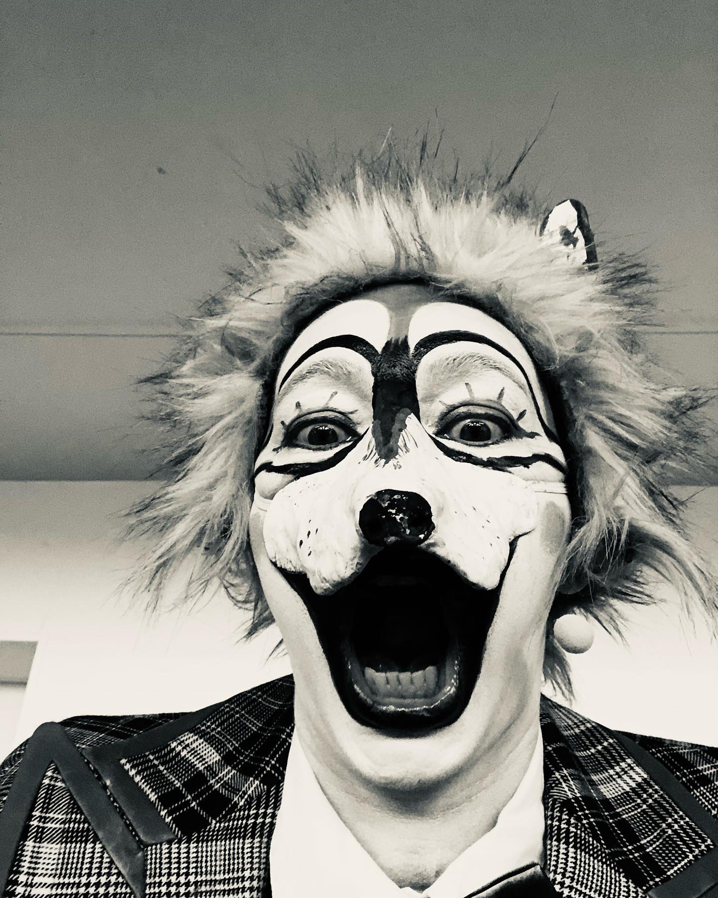 La date d’hier a été incroyable !😝
J’ai fait mon premier concert sans voix. J’avais 3 notes dans les graves et rien de plus 😂 Le résultat était creatif et apparemment amusant. Quel succès 🤣
Ma chanson « avoir un chat dans la gorge » a pris toute son épaisseur.
Merci au Théâtre Quintaou, rebaptisé pour l’occasion Quinte de toux, au public venu en masse, si drôle et enthousiaste 😘. Merci à Jeremie Pontier qui s’est adapté avec virtuosité à cette situation inhabituelle. Merci à Patrice Thibaud pour sa mise en scène implacable ❤️
Vivement la prochaine !
Ouaf !
#quandlespoulesaurontdesdents