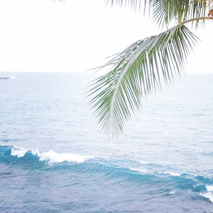 💙 Our beaches are ready #vallarta101