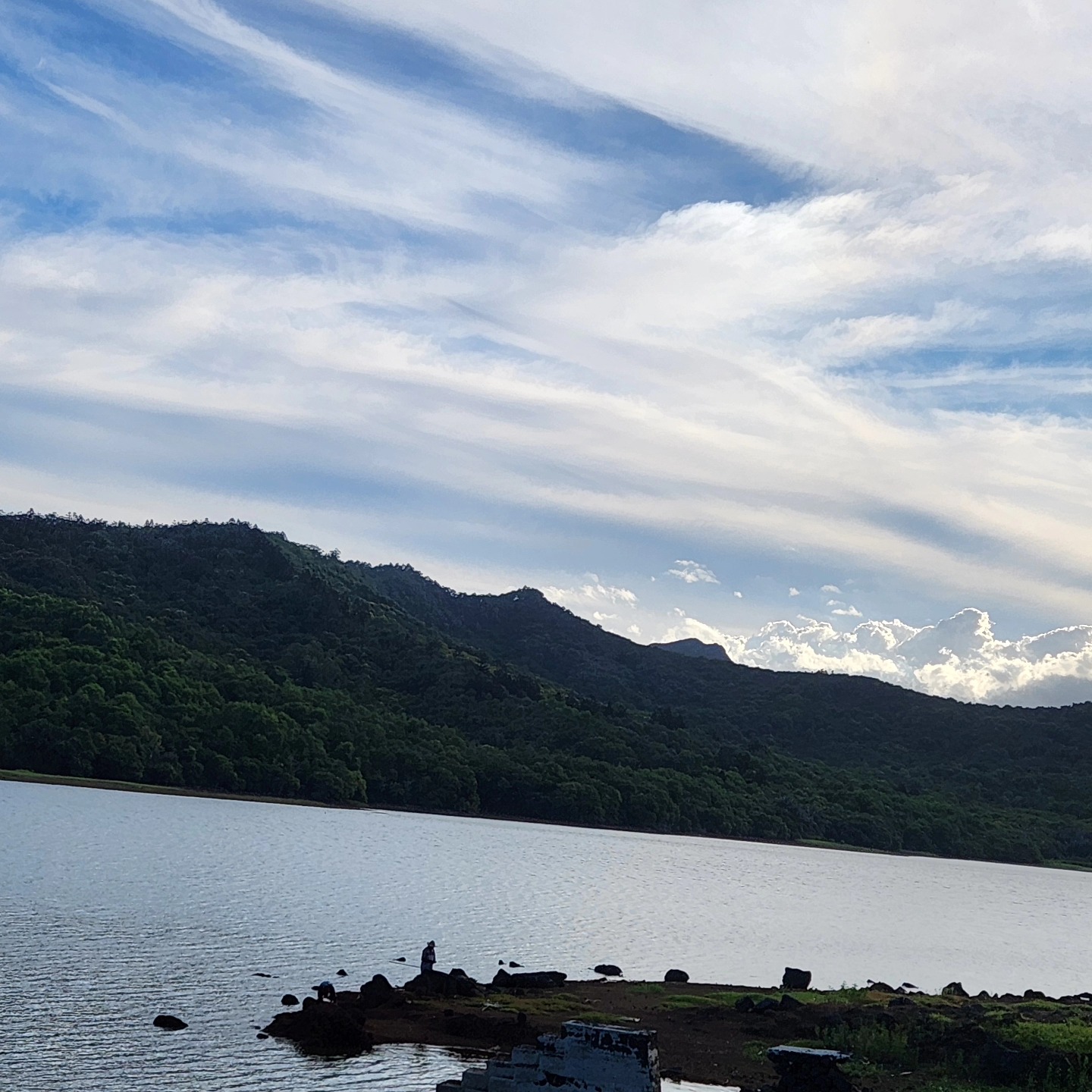 Lost in the serenity of the forest, where the lake whispers and the trail leads to peace. ✨🌿🌊 #runhappy