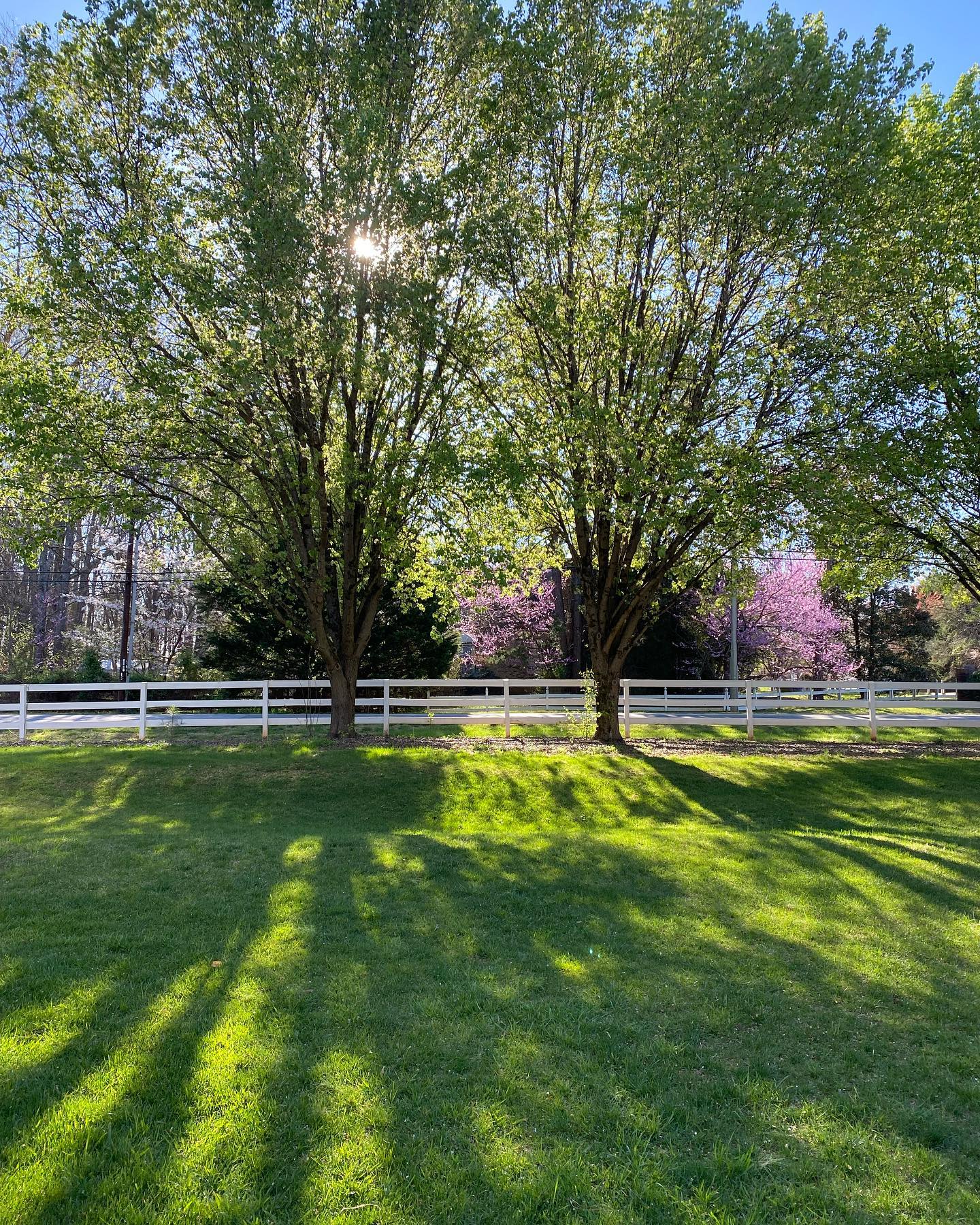 He is risen 🐣🕊️✨
.
.
Happy Easter