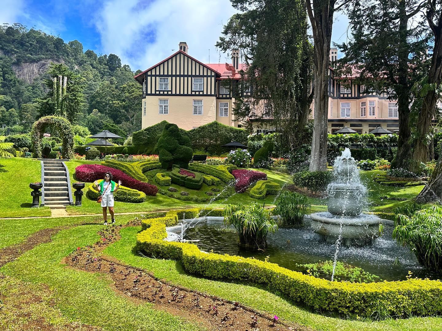 Time for high tea, my darling sweet pumpkin