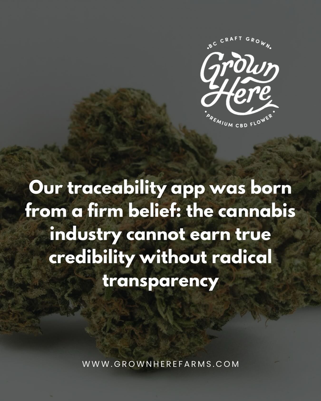 Check out our article on why radical transparency must be the future of the legal regulated market in Canada. https://hemp-products-canada.cannabisbusinessinsights.com/vp/grownherefarms/cultivating_trust:_why_transparency_is_the_future_of_cannabis/