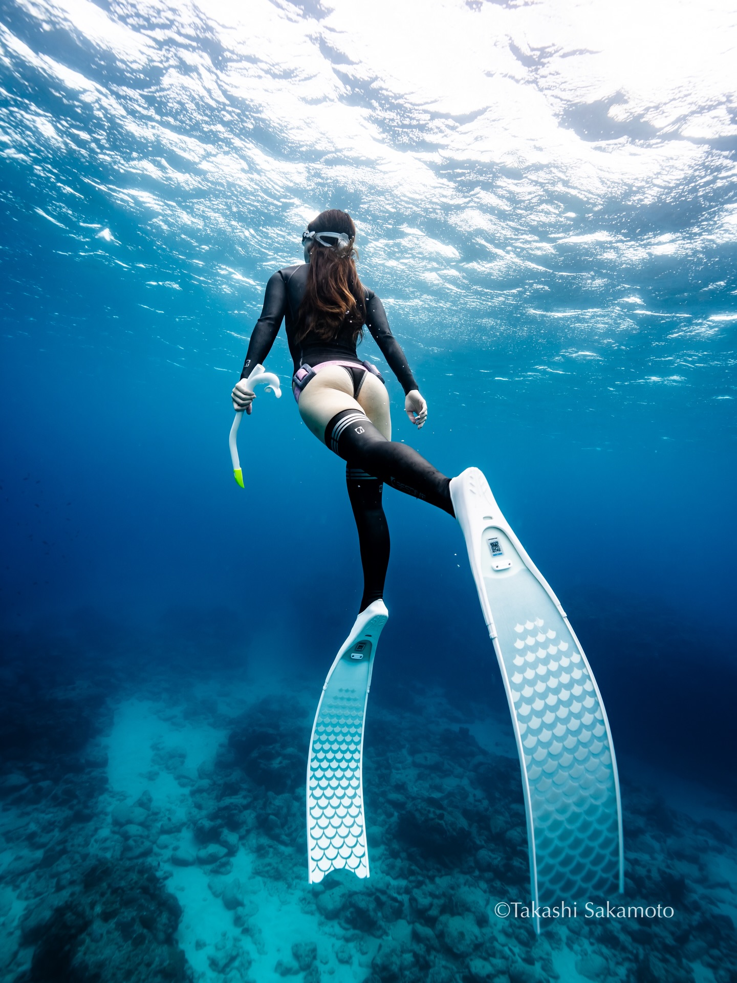 🪸✨
FREEDIVING🛥️✨
スキンダイビング✨
那覇発1日ボートスキンダイビング
撮影データ編集込み
レンタルも無料
18,700円
いつでもお問い合わせ下さい🤶
年中無休🌈冬も開催しています✨
✴︎水中写真も動画も込みです🌈
スキンダイビング&スキューバダイビングツアー🧜🏼
空きがあれば前日予約もOK✨
ツアーのご予約は年内全日程受付可能です✨
前日予約も空きがあれば可能ですが
ご予定ある方はお早めに👌
✴︎✴︎✴︎✴︎✴︎
✴︎2026年 那覇発沖縄本島 #ホエールスイム 予約受付中✨
開催期間 1/17〜3/20
現在受付可能です🐳
募集定員枠が少なく早く埋まる事が予想されますのでよろしくお願い致します✨
✴︎FUNダイビング/少人数制
初心者の方も大歓迎😊
✴︎体験ダイビング/ガイド貸切ワングループ制
ガイド貸切で初めてでも安心✨
✴︎スキンダイビング/少人数制
レクチャーも致します✨
初めてでも大丈夫👌
✴︎ダイビングライセンス講習✨
基本1組様限定で行ないますので
安心です✨
✴︎photoツアー/ガイド貸切1日1組限定
通常のツアーよりさらに
撮影特化プランです😊
本格撮影機材で撮影&編集✨✨
スキューバダイビング・スキンダイビング、沖縄本島、慶良間諸島等で年中無休で開催中です🤗☀️
前日でも空いていればご予約可能です🎶
✴︎美しい海で遊んでいただいた写真の画像データはすべて当日にプレゼント🌈
✴︎通常器材レンタル無料🌈
✴︎ロングフィンレンタル無料🌈
✴︎那覇市内送迎無料🌈
✴︎水中スクーターレンタル有り🌈
✴︎お一人様も大歓迎🌈
✴︎初めての方も大歓迎🌈
✴︎リピーター様500円引き🌈
✴︎gopro11レンタル有ります(有料)
いつでもご予約も受付中です✨
お問い合わせ下さい✨
詳しくはホームページも確認してみて下さい🎵
前日の予約〜来年の予約まで受付てます😊🎶
InstagramのDMからの問い合わせもスムーズです😊
時間外でもOK🙆♂️
確認次第お返事させていただきます❣️
https://www.johnnysdiving.com
☀️☀️☀️☀️☀️☀️☀️☀️☀️☀️
・
・
#スキンダイビング ツアーで
人気ブランドリーダーフィン の
ロングフィン がレンタルできます✨✨
軽くて柔らかいので女性にとても人気🎶
水中での写真映えも大きな魅力🎶
ロングフィンを履いて海を楽しみましょ☀️
レンタルはサイズ、在庫数に限りがありますので、ご予約時にご確認下さい😊
・
・
※各メニュー担当スタッフの指定はできません🙏
非常勤インストラクターの場合もございます🤿
※スタッフにより使用する撮影機材は異なる場合があります📸
・
@alchemy_japan
沖縄ダイビングショップ
#프리다이빙
#自由潛水
freediving
#沖縄スキンダイビング
沖縄ダイビング
오키나와프리다이빙
沖繩自由潛水
☆☆☆☆☆☆☆☆☆☆☆☆☆☆☆☆☆☆☆