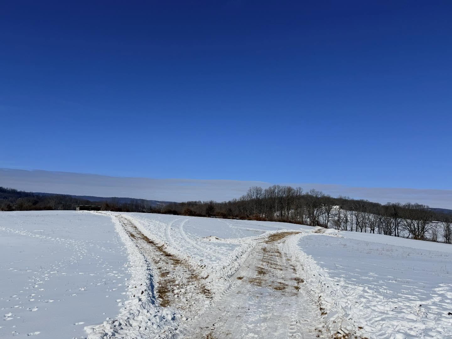 Itโs been a tough week here battling the cold, snow, and ice. Things are looking warmer starting Monday and we are hoping that will give things a good chance to melt.