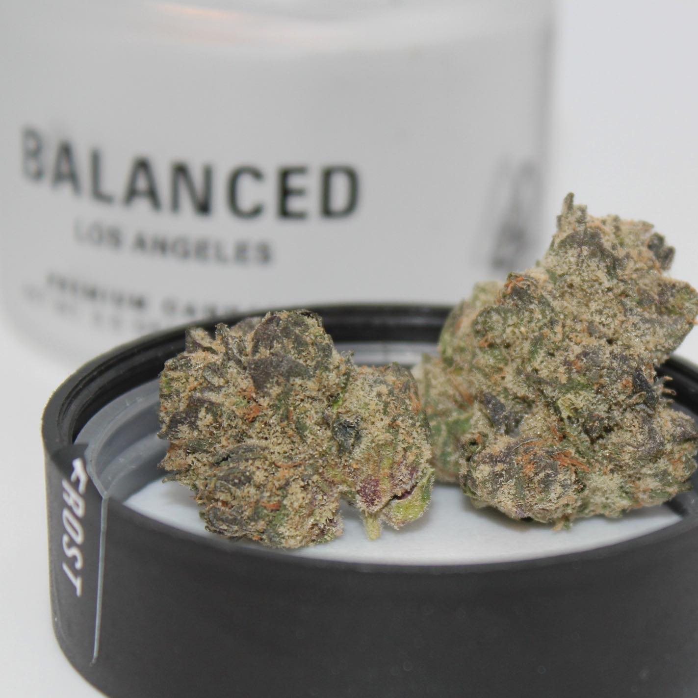 BALANCED 🖤🤍
This Atomic Frost has been something I’ve been looking forward to posting for a few weeks now.
The genetics that @balancedla are working with are so special. This strain in particular is a cross of G41xHi-octane ⛽️🔥
The moment you crack the jar you are induced with an instant aroma of sweet pine, earthy, classic, almost OG essence.
The first thing I said was “this is fucking classic.”
It’s hybrid effects are extremely BALANCED 😉 I felt an immediate calm, relaxing sensation that was then followed by an uplifted, blissful vibe. It didn’t stop there…this bud was cured to precision and was the definition of smooth with the most pungent earthy taste.
This is a perfect strain to aid in anxiety-relief. I used this strain to end my work day to unwind for my evening ✨
Needless to say, this is one of those strains where you simply cannot gain the effect from any other bud out there.
Truly unique and true to its genetics ⚖️🖤👽🤍
#balancedlosangeles #balancedla #balanced #flower #atomicfrost #hybrid #antianxiety #cannabis #cannagirl #plantmedicine #zen #yinyang #losangeles #bornandraised #themarijuanamedium