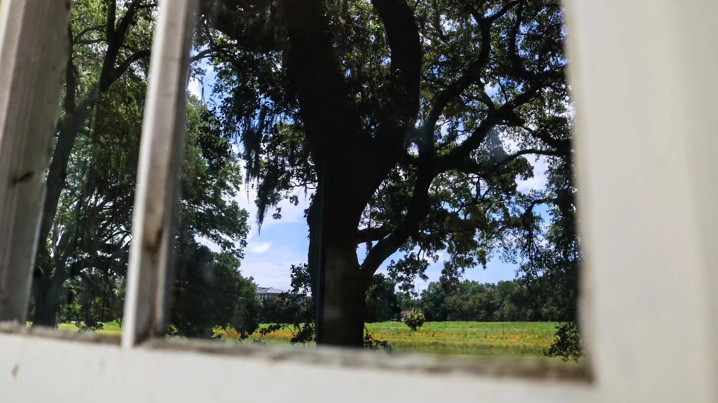 "Window to Natrue"
#reflection #photooftheday #photography #nature #windowphotography #window #framing