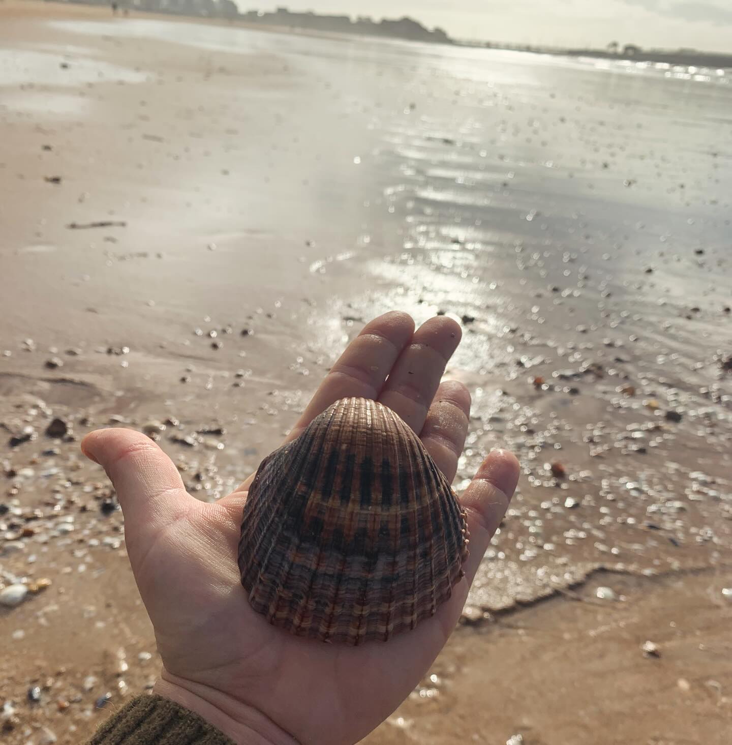 🐚C’est l’hivers que je pars à la pêche aux coquillages pour pouvoir vous proposer de super compositions l’été ! ☀️
Et oui tout ça se prépare à l’avance 😉 et c’est pas mal de boulot, entre la chasse aux coquillages, leur nettoyage, perçage, peinture et vernissage …
Mais ça vaut le coup surtout quand je vois la lueur dans vos yeux lorsque vous repartez avec votre trésor des plages 🥰
#coquillage #plage #labaule #presquileguérandaise #bijouxcréateur