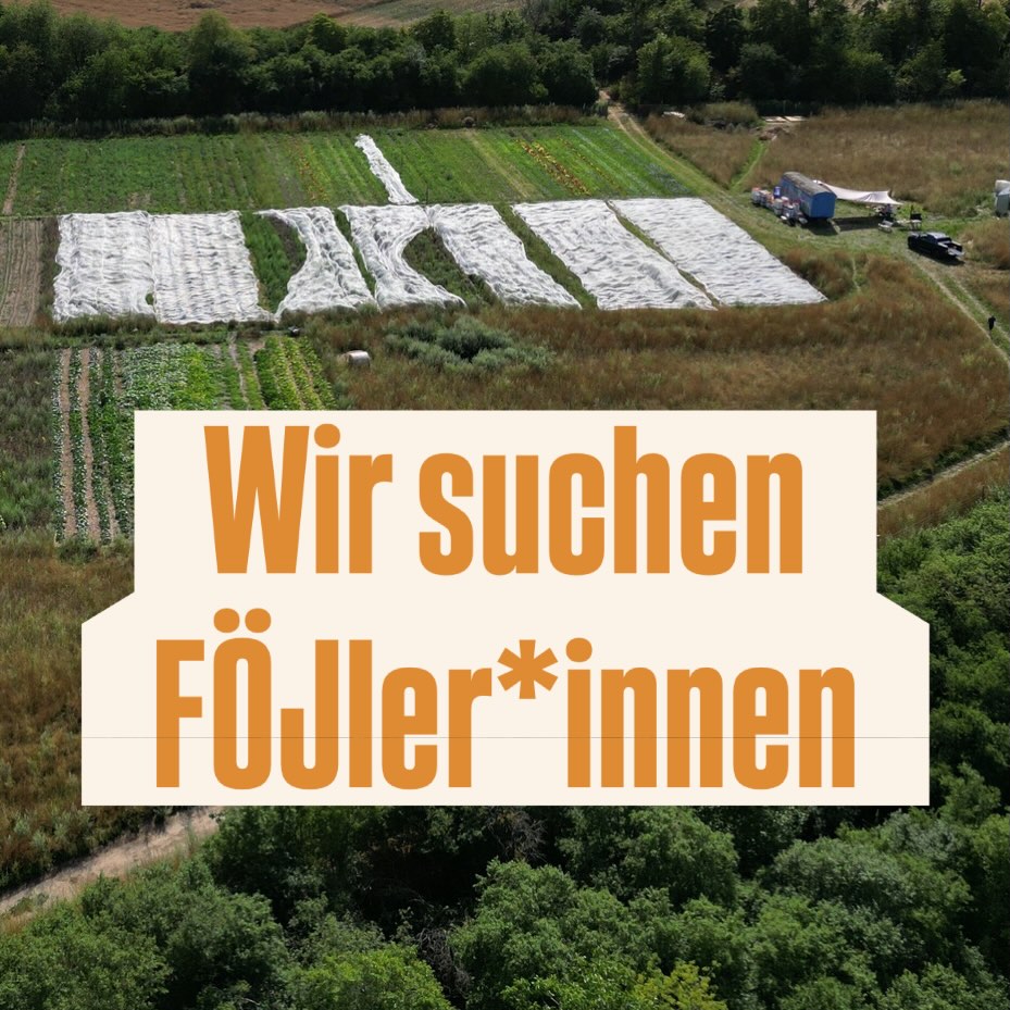 Join our international Team! Wir suchen FÖJler*innen für unsere SoLaWi. Mit freundlicher Unterstützung der @stiftung_naturschutz_berlin. Melde dich gerne per E-Mail an vorstand@frohlawi.de #föj #solawi #organicfarming #biogemüse #föjberlin
