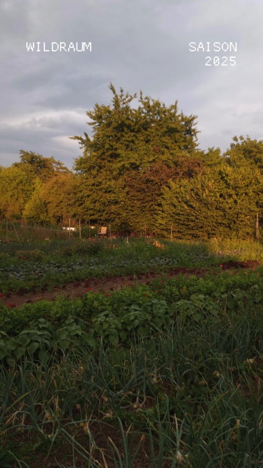 Recap Wildraum '25 💥