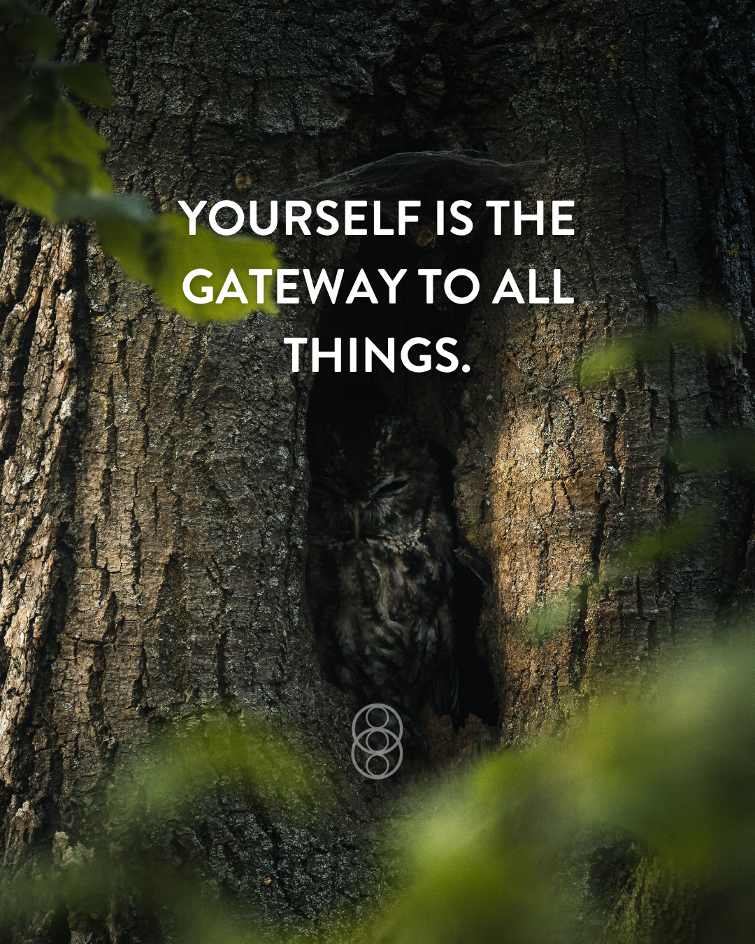 Change unfolds as we loosen old beliefs about who we think we are.
As each of us learns to see ourselves differently,
the world begins to change,
one heart at a time. 💖
#energyhealing #reiki #selflove #worldpeace #mainstreamreiki
#channeledmessage #EOL #emissariesoflight #andreakennedy
