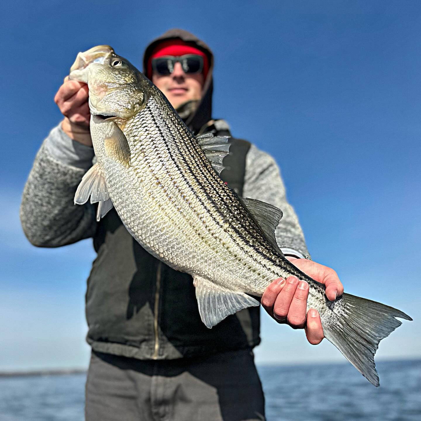 The trout have been fun to catch this season but stripers just hit a little different. Last minute trip with Greg paid off big time! We boated close to 40 fish with many weighing over 10lbs. Amazing how it’s not so cold 🥶 when the fish start biting, several days available in February so don’t miss out! 252-799-9536 #inshorefishing #winterfishing #striper #striperfishing
