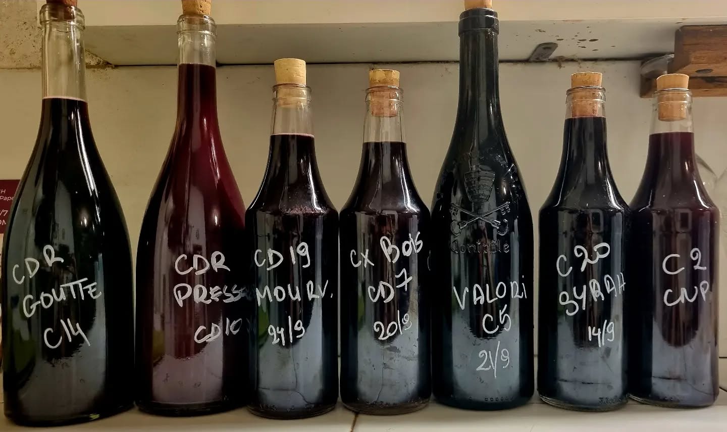 Récap du millésime 2024.
#Châteauneuf-du-Pape #vignoblesmontthabor #redwines #grenache #syrah #mourvedre