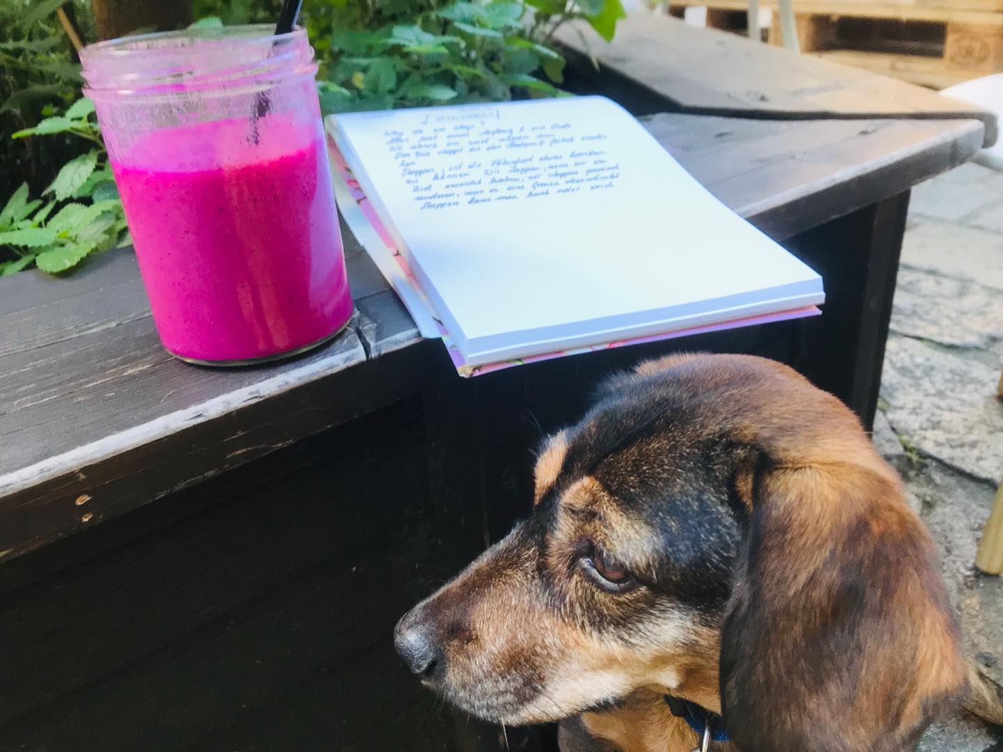 Mit Finni bei einem Smoothie von Superfood Deli das Programm für den Vienna Design Week Starter schreiben! Das ist Freiheit für mich!
#freeyourbody #freemotion #viennadesignweek #vdw #designmikimartinek #woolmooi #freiheit