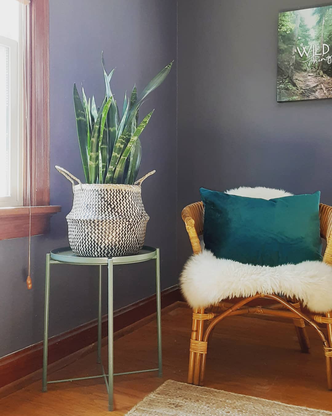 Happy first day of spring! What's your favorite kind of plant for indoors?
.
.
.
.
.
#homestaging #interiordesign #indoorplants #firstdayofspring #photobomb #dogsofinstagram #slatedstaging #bohochic #planter @loweshomeimprovement @marshalls #stlinteriordesigner #stlhomestaging