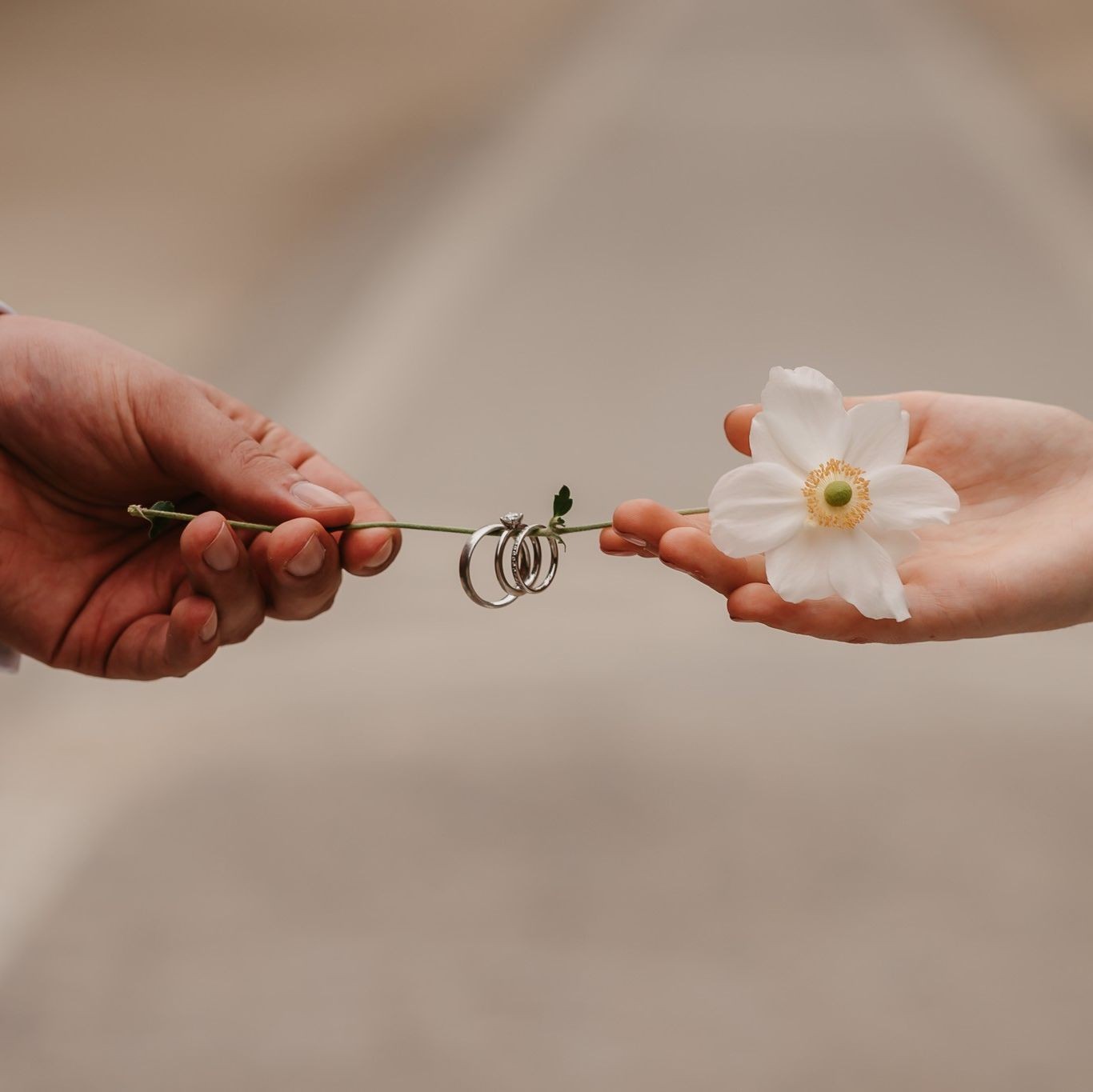 Besonders jetzt wo wir selbst unsere Eheringe planen & gestalten, achtet man ganz genau bei der Bildbearbeitung auf die Details :)
#Eheringe #Hochzeitsplanung #Detailsverliebt #Frankfurt #Hochzeitsfotografie #Weddingtime #Verlobungsring