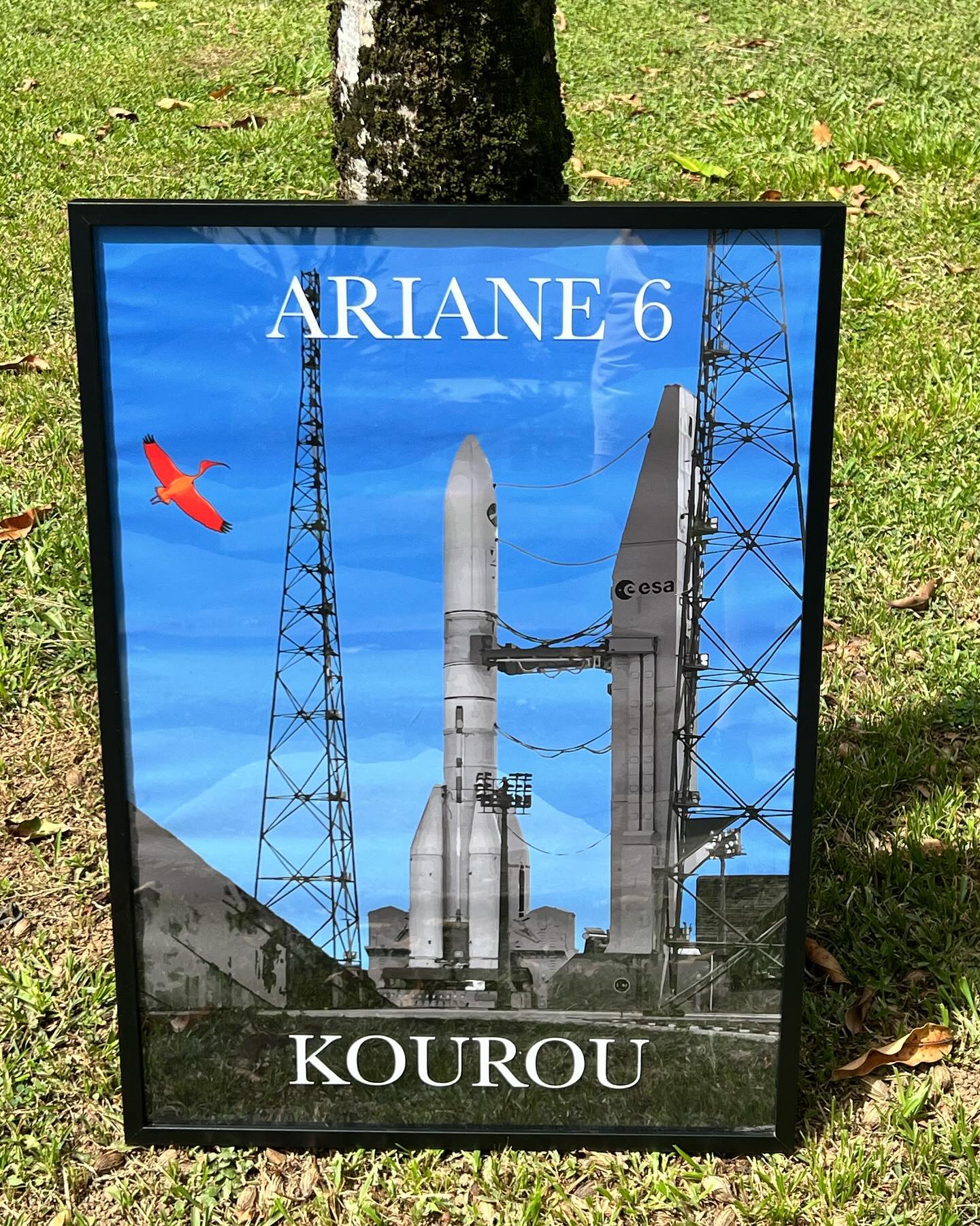 Nouveau poster Ariane 6 disponible à la boutique Label Guyane ! Soyez parmi les premiers à l’obtenir et à afficher fièrement votre soutien à l’exploration spatiale. 🚀
.
.
Venez découvrir le reste de la gamme sur le site www.labelguyaneshop.com
.
.
#guyane #guyanefrancaise #bois #affiches #posters #objetunique #tendance #produitsartisanaux #artisanat #drapeauguyane #entrepriselocale #yana #cadeau #cayenne #labelguyane #kourou #labelguyane #labelguyaneshop