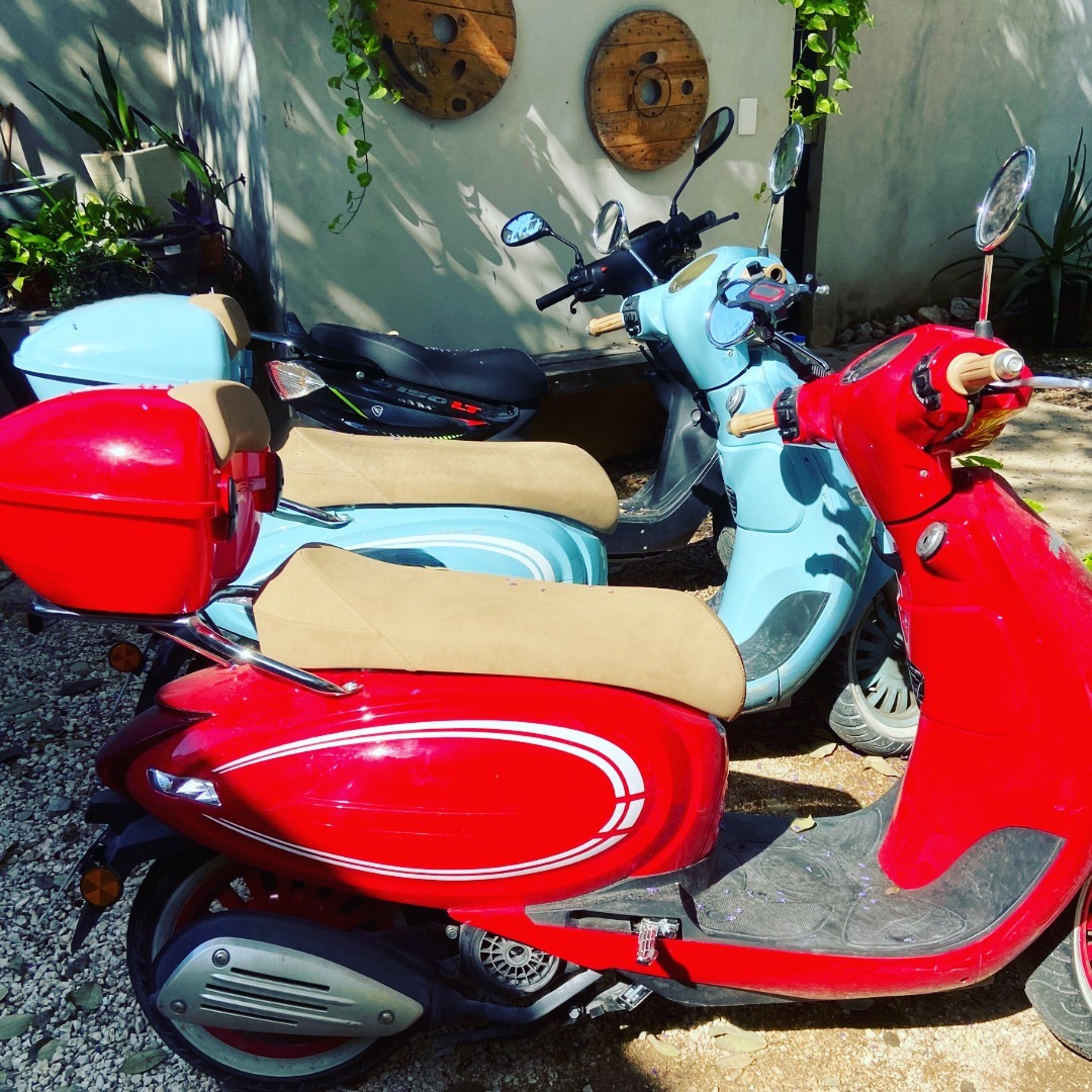 🌴 Sumérgete en el Esplendor de la Riviera Maya con Coco Motos Rentas de Scooters! 🌴
¿Listo para darle sabor a tu aventura en Playa Del Carmen, Tulum o Puerto Morelos? ¡No busques más que Coco Motos! 🛵💨
🔹 Rentas Diarias, Semanales y Mensuales Disponibles
🔹 Entrega Conveniente a tu Ubicación
🔹 Scooters y Motocicletas desde Solo $249MX por día
🔹 Cobertura de Seguro Integral Incluida
🔹 2 Cascos, Impermeable y Cargadores USB con Cada Renta
¡Prepárate para tomar el camino y sumergirte en la belleza fascinante de la Riviera Maya sobre dos ruedas! Ya sea una escapada rápida de un día o unas vacaciones extendidas y relajadas, ¡Coco Motos te tiene cubierto! 🌊☀️
¡Reserva tu paseo hoy y haz de tu aventura un recuerdo inolvidable! 📞✨
Visita nuestro sitio web: www.cocomotos.com
Síguenos en Instagram: @cocomotosrentals_mx
Conéctate con nosotros en WhatsApp: wa.me/+529842165213
O simplemente llámanos al: +529842165213