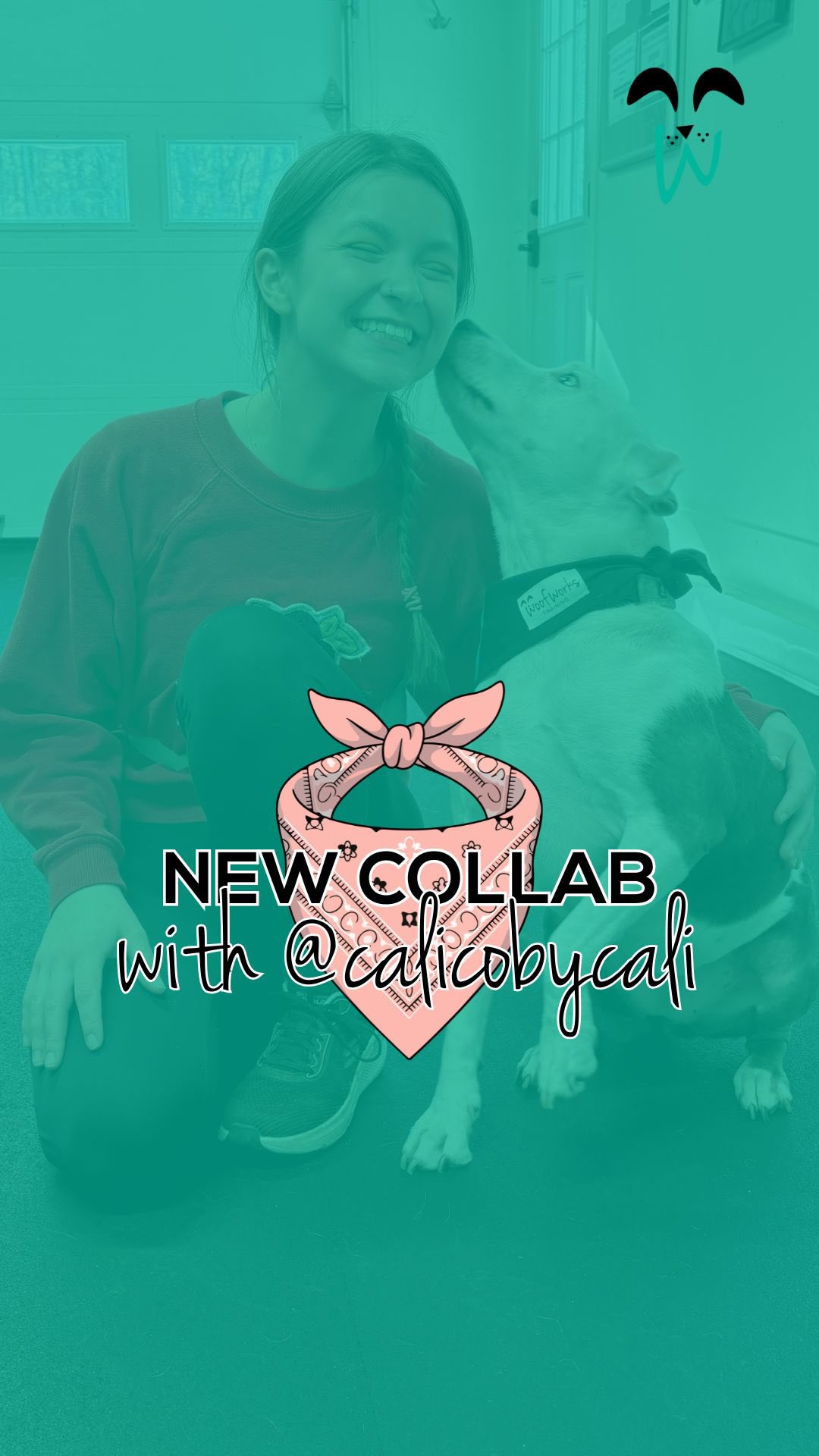 Have you caught a glimpse of our latest collab? 👀
These bandanas are part of a new partnership with @calicobycali — a Maine-based creative designing one-of-a-kind, upcycled pieces right here in our community.
Each bandana is handmade, unique, and created by a Maine College of Art & Design alum 🎨
You may start spotting them on our newest graduates 🎓 but first, we had to test them out on the Woof Works residents.
Annie, Aggie, and Nigel all gave them a solid 10/10! 👏🏻
Thoughtful design, local artistry, and furry friends who happen to wear them very well 🐾
dog training maine • puppy training york county • leash skills • reactive dogs of Maine • York, Maine • southern Maine dog trainer #WoofWorksTraining #Mainedogtrainer