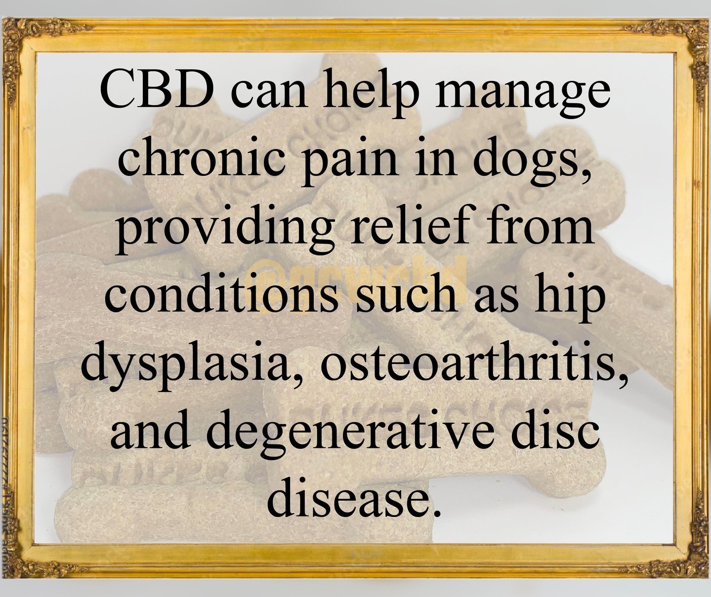 Have you tried CBD treats for your dog? Do you know how it works? Check out this fact!
#cbd #cbdfacts #dog #dogtreats #treats #cbdtreats