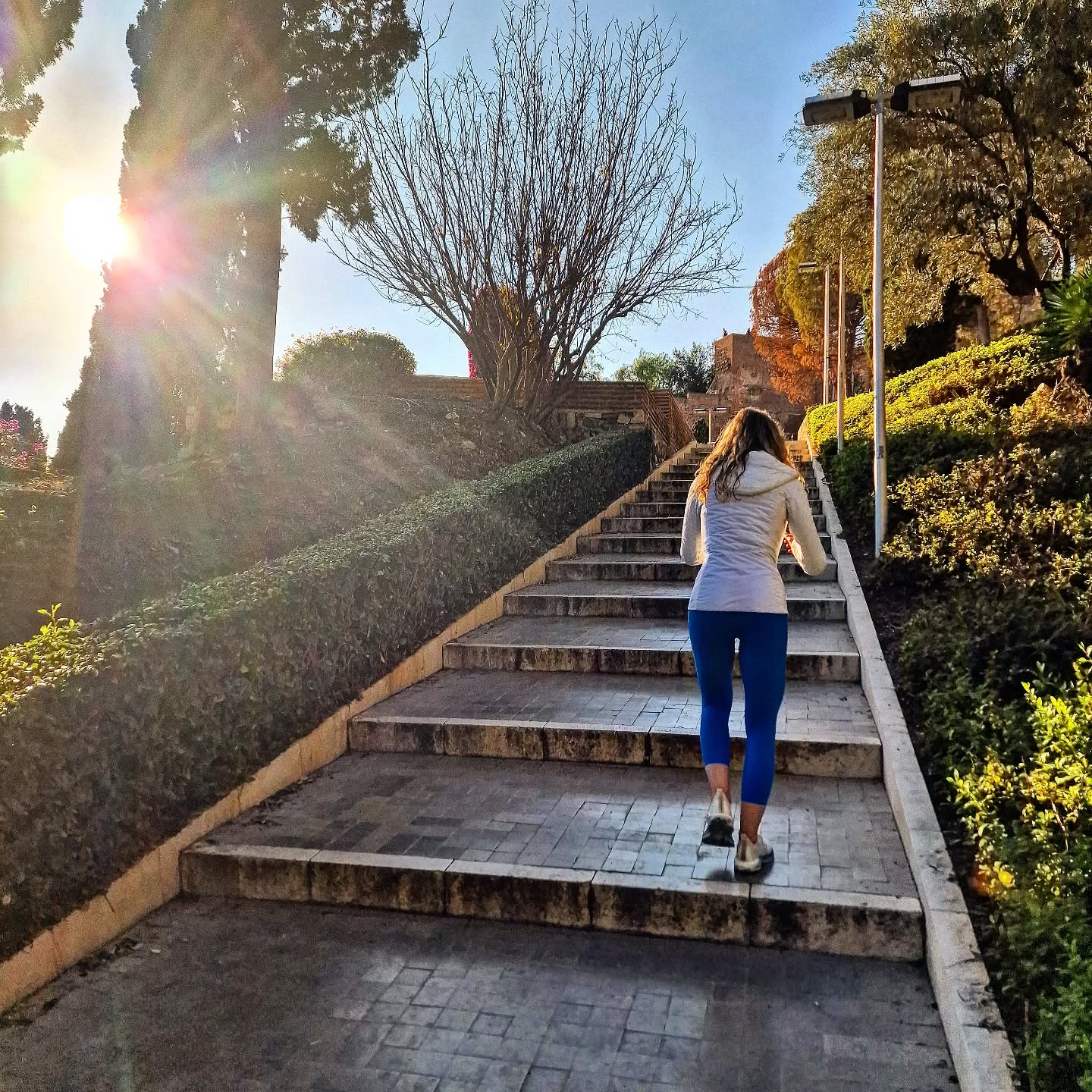 Morning run ↗️ Castillo de Gibralfaro 🏃➡️ buen fin de semana 🌞
.
.
.
.
.
.
#lovingmalaga #malaga #malagalife #malagaturismo #malagaspain #málaga #malagatoday #andalucia #ckmalagalife #ok_malaga #ok_andalucia #españa #spain #castillodegibralfaro #visitmalaga #costadelsol #ok_spain #photosofmalaga #malagaconacento #running #lateandalucia #summervibes #travel #travelphotography #livelovespain #latemalaga #enamoratedemalaga #objetivoandalucia #latildedemalaga #runningmalaga