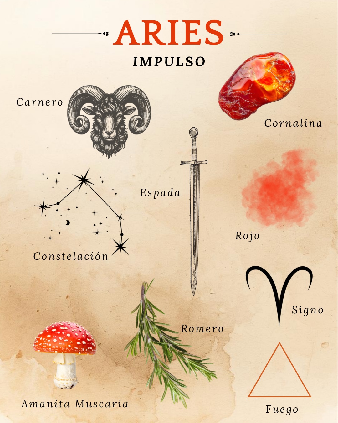 Cada signo vibra con una energía distinta ✨
El zodiaco no solo se lee: se siente, se observa, se conecta.
En este primer post te comparto las correspondencias mágicas de:
♈ Aries · ♉ Tauro · ♊ Géminis · ♋ Cáncer
Guárdalo si quieres volver a él 💖
Escribe en comentarios si te representa tu signo
#zodiaco #aries #tauro #geminis #cancer