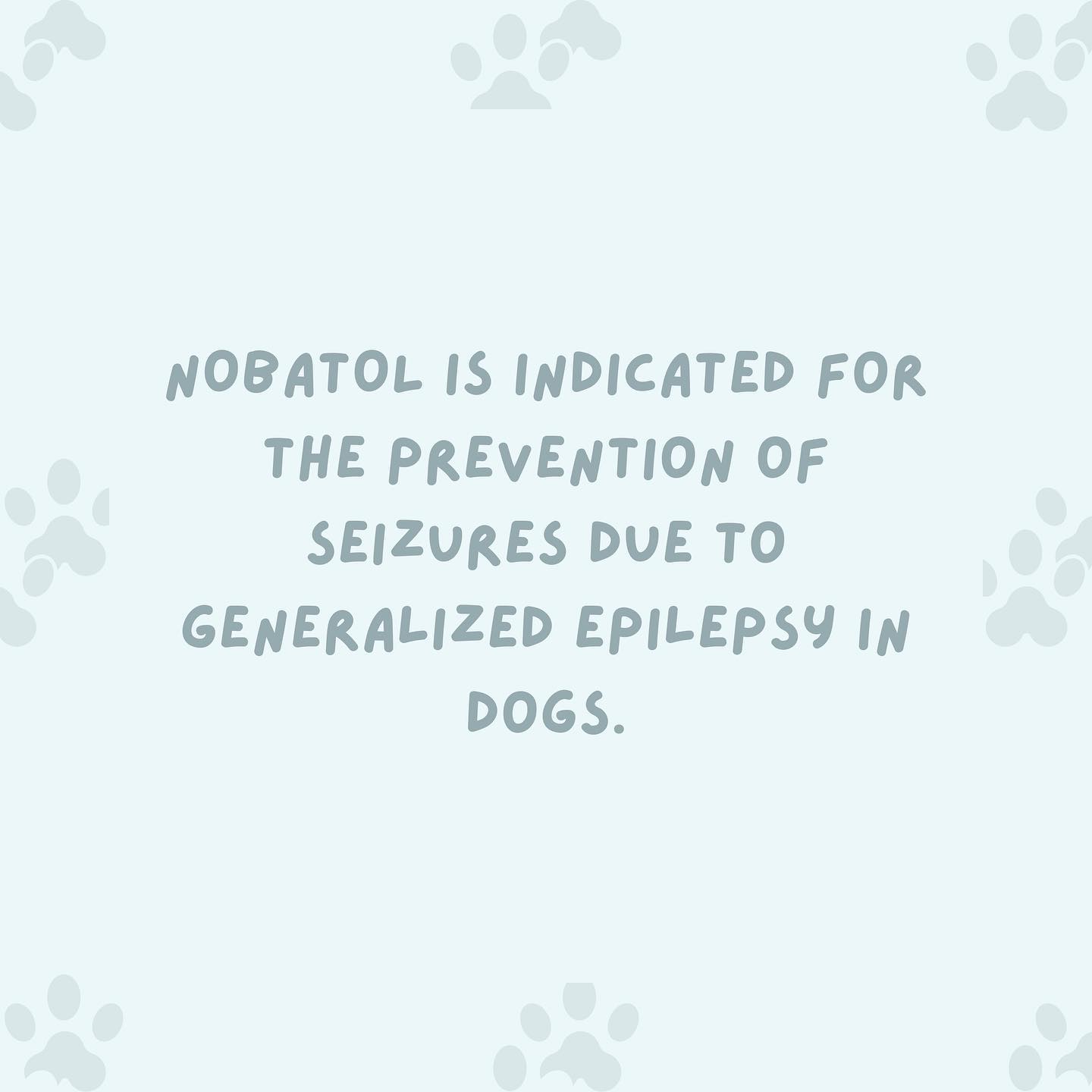 🩺 Ask your veterinarian about the first veterinary labeled Phenobarbital. Available in 30 mg & 60 mg tablets. #CanineEpilepsyAwareness
➡ For more information, visit nobatol.miznerbioscience.com #ThinkMiznerBioscience