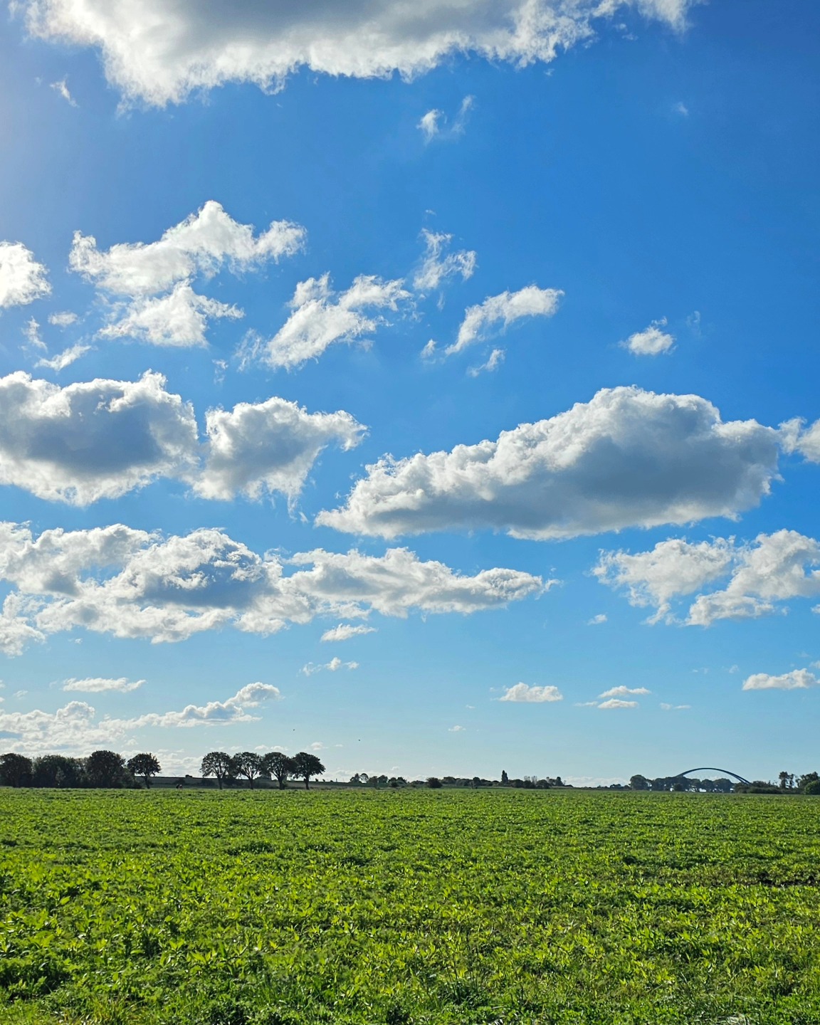 Wunderbare Sonnentage auf Fehmarn im Haus im Felde. Die Insel strahlt und lädt zu Radtouren, Ausritten und Spaziergängen am Meer ein 🌞.
Amazing sunny days on the island Fehmarn in the 'Haus im Felde'. The island beames and invites to bike tours, horse rides and walks along the shore 🌞.
#hausimfelde
#Fehmarn
#ferienwohnungen
#Ferienappartments
#sonneninselfehmsrn
#ostseeferien
#ocean
#Fahrradtour
#Radfahren
#kite
#wing
#foil
#windsurfing
#reiterferien
#ausritt
#schleswig_holstein
#holidayappartement
#holidayattheocean
#horseriding
#balticsea
#islandinthesun
#goldenoctober
#enjoylife