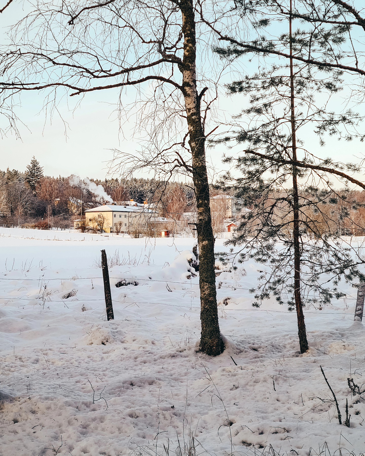 Bara några dagar kvar till vår julmarknad här på Vassbo! Vi är i full gång med förberedelser, pyntning, matlagning, iordningställande och pepp 🎄
Och än har vi lite hopp kvar för att det ska komma några snöflingor till på lördag 😘❄️
Men vad spelar vädret för roll när vi har alla dessa härliga utställare som kommer och förgyller Vassbo ❤️:
@morens_grona
@bildminnen
@vassbotraningscenter
@clayclayforyou
Kalle Mellberg - Smide
@ateljefiori
@bynises
@mullgrodan
@kristinas_keramik
@remadebysara
@elvisby.se
Jessica Permats
@larsveden
@aspriket
Petra Nord
Weronica Morell
@artbykickaneo
@chocolate.madebyelsa
@stornilsjewelry
Aspebodaskolan klass 6
@mirandafalk.design
@ammiberglund
@monicas_keramik
@gudokonfektyr
Anita Pettersson
Irene Svensson
Lars Rosén
@cera_minerals
Ann-Christin Rodheim
@kerstinsalgarmm
Kalvdans från Norberg
@asaehlis
Västra skolan
@fotverket
@animohelhetshalsa
@annastinaerikjans
Håll koll i evenemanget för mer info och kartor över marknaden! Länk i vår profil ✨️ Vi ses på lördag! 🎅
.
.
.
#vassbojulmarknad #vassbologiochevent #vassbogårdsbutik #vassbo #julmarknad2024 #visitdalarna #stfturist #julmarknaddalarna #marknadvassbo #hantverkidalarna #magasinetvassbo #vassbovandrarhem