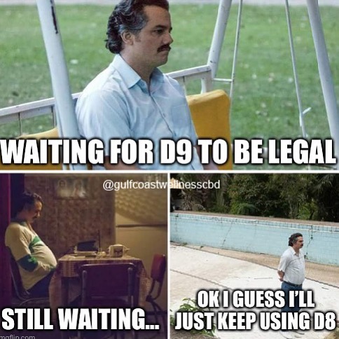 D8 back in stock check the website!
www.gulfcoastwellness.co
#cbdmeme #memesdaily #meme #gcwcbd