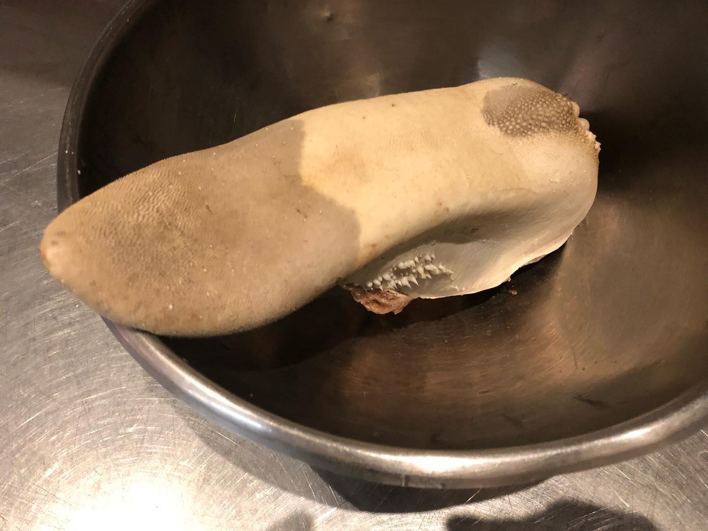 Dinner at 20:00 if anyone’s interested.