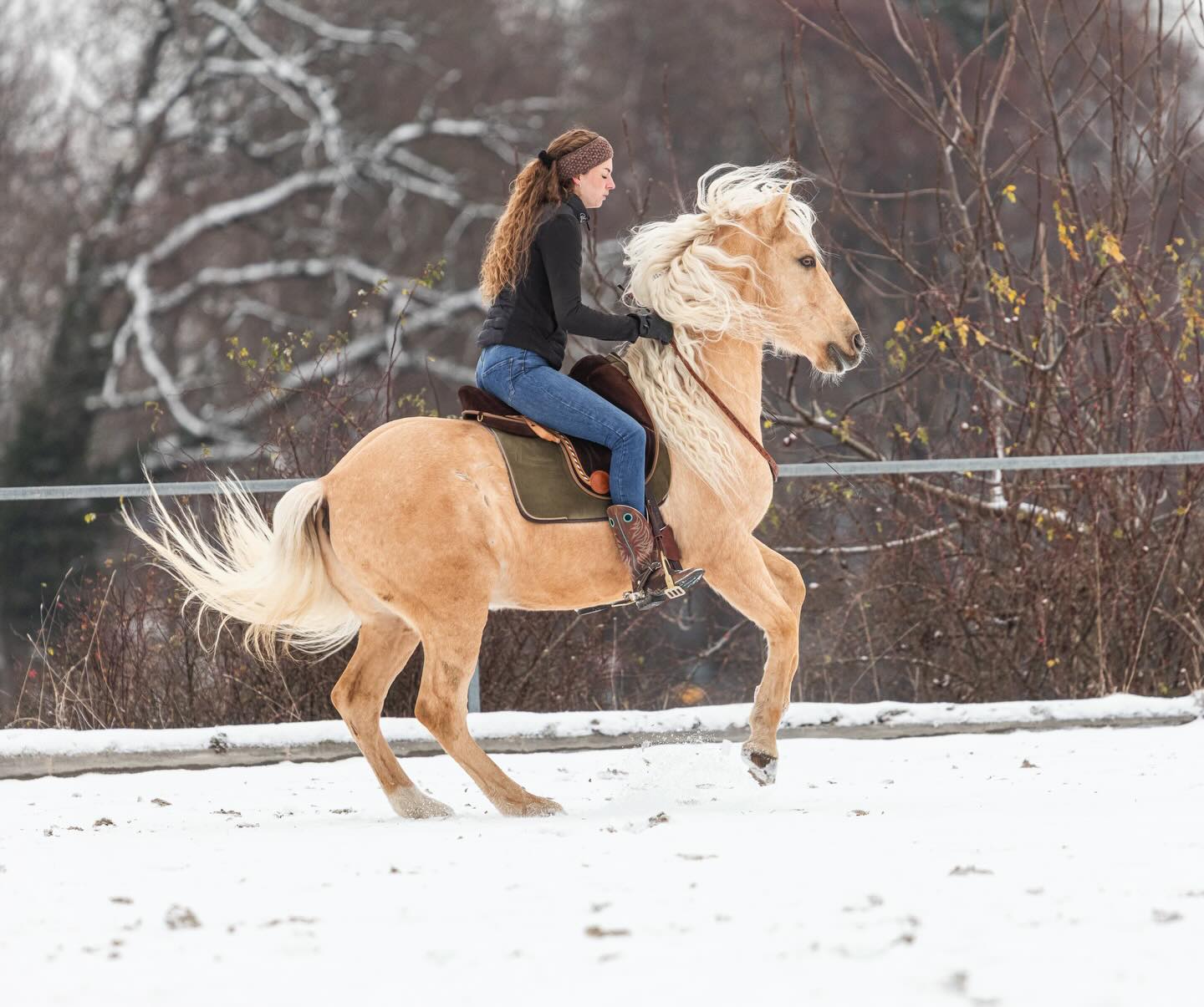Pferd Bodensee, Happy‘s Ankunft in DE und Delis Heilung ❤️🩹
•
Ja es ist wieder einiges los hier! Denn vor kurzem hab ich die Nachricht bekommen, dass ich auf der @pferdbodensee dabei sein darf mit Sui und das freut mich unglaublich. 🐴😍 Viel Austausch, Inspiration und eine intensive Zeit wartet auf uns. Was genau wie zeigen werden und unsere Zeiten - verrate ich euch dann noch rechtzeitig. 🤞🏼
•
Für Happy‘s Einzug gibt es auch endlich ein Datum. Nämlich wird sie am 22.02. bei mir in Deutschland ankommen. Wie genau alles abläuft berichte ich euch auch noch. Es müssen aber noch ein paar Dinge geklärt werde und dann bin ich ganz gespannt auf die Zukunft und wie sie sich einleben wird. 🥰🐶
•
Deli ist jetzt 1 Woche post OP und es geht ihr richtig gut. Die Narbe sieht aus wie im Bilderbuch und sie ist munter, frisst endlich wieder gut und ist derzeit besonders Liebesbedürftig. So darf das gerne weiter gehen. Ich hoffe sie wird eine tolle große Schwester für Happy 🥹❤️
•
Im Hintergrund passieren gerade auch so viele Dinge … bin ganz aufgewühlt aktuell, aber das wird sich sicher alles fügen. 🥳🙋🏼♀️
•
Bilder von @sophiagfotografie