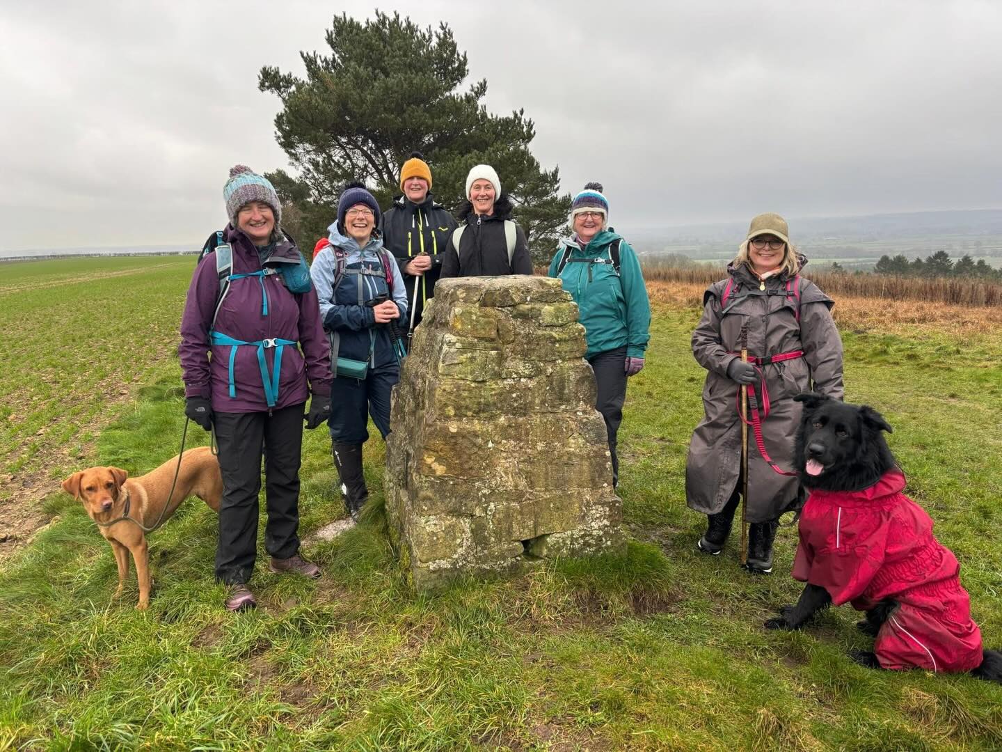 Great walk today, getting out there and actually managing to dodge most of the rain 🌦️🙌
Fresh air, muddy boots, and those little signs that spring is on its way 🌱
We even paid a visit to the tomb of a local knight – legend has it he once slayed a dragon 🐉⚔️
Proof that every walk has a story… and today’s had a bit of magic in it ✨🥾
📍Nunnington - 5 miles and 500ft ascent
Thank you to @kerry.hikes
https://www.yorkietalkies.co.uk/yto-friday-walks
#getoutside #guidedwalks #YTO #friday