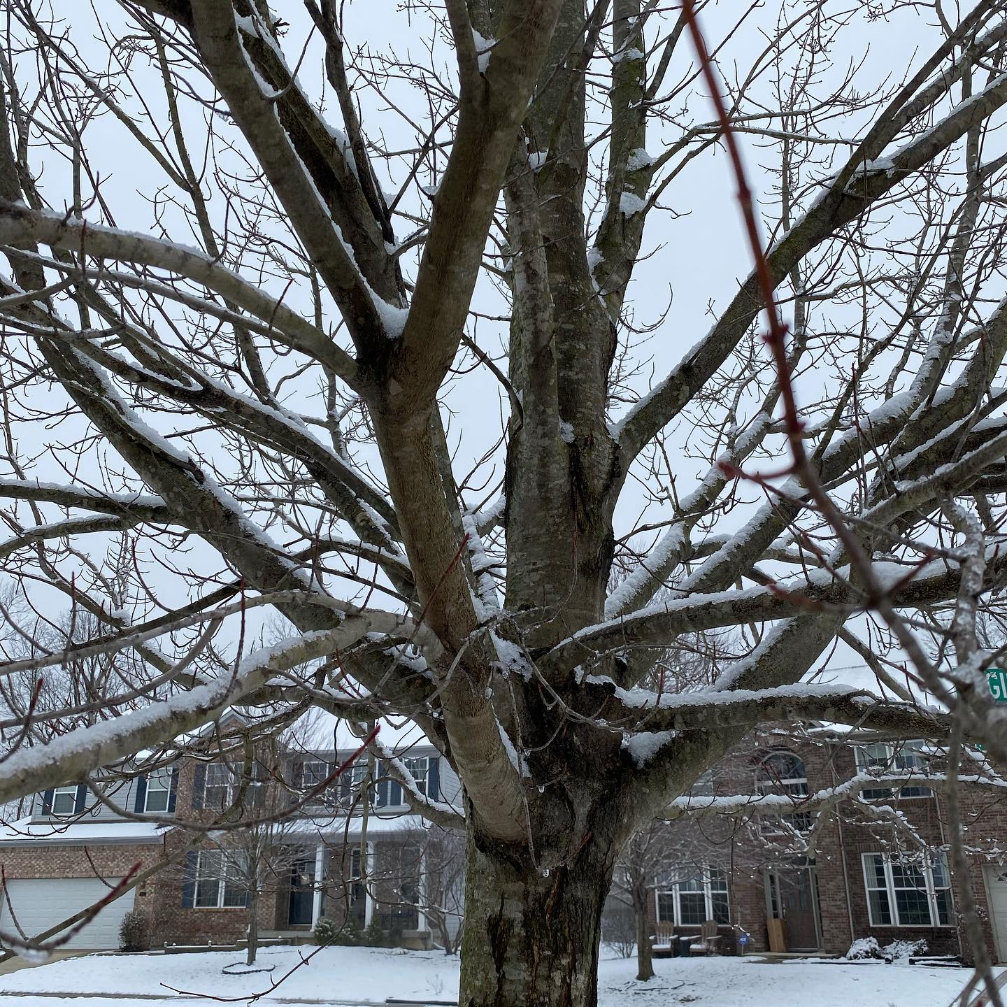 We got snow today! I’m especially excited about it this time because it was just enough to cover the grass and to look magical on the trees and roofs, but not enough to accumulate on the roads and impede driving. #snow #winter