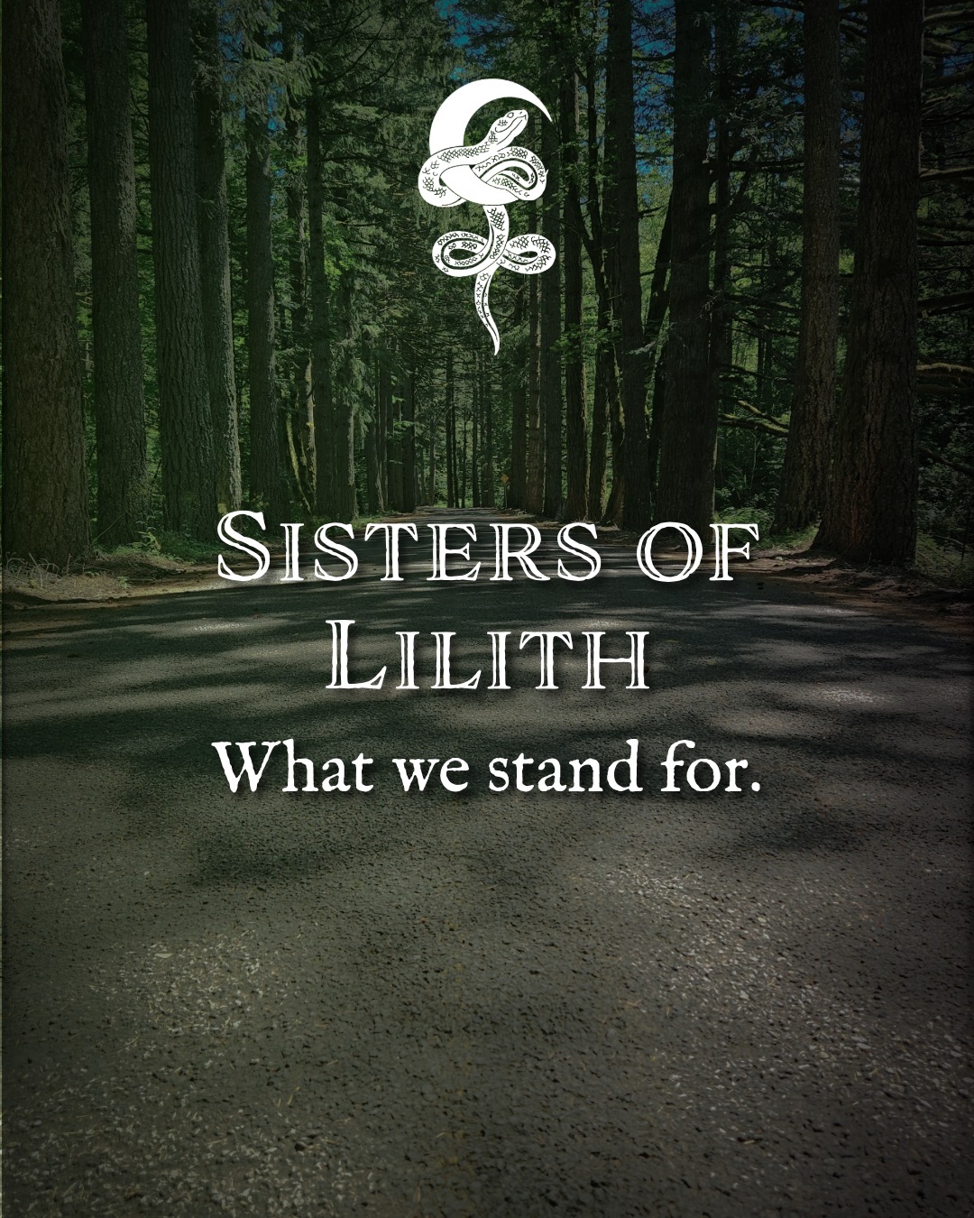 We are a community built on the belief that personal power is inseparable from collective liberation. We stand for Sovereignty rooted in support, Sanctuary for our LGBTQIA+ and BIPOC kin, and Stewardship of the Earth with fierce devotion.
SOVEREIGNTY: We claim our power not in isolation, but through the deep, unbreakable bonds of community support. Your strength is yours, but you never carry it alone.
SANCTUARY: For our LGBTQIA+ and BIPOC kin—your identity is our celebration. This is a radical refuge where you aren't just safe; you are revered.
STEWARDSHIP: We are the land speaking for itself. We protect the Earth with a fierce, primal devotion because we are not separate from the wild—we are its heartbeat.
JUSTICE: We do not negotiate with hate. We do not stand with oppressors. We do not stand with fascists. Our voice is a tool for liberation, and we are not afraid to use it.
But values are meaningless without action.
I cannot stand on this platform and not speak out against oppression and hate. This is a space of growth, unlearning, and relentless acceptance—which means there is zero room for fascists or those who seek to diminish the humanity of others.
I am here to use my voice, lead this group, share knowledge, and help those I can. I am here to hold the line so you can grow safely.
We all have a place in the resistance. Whether you are here to heal, to learn, or to fight—your seat is at this table.
With Fire and Fury
- Lilith
#SistersOfLilith #Sovereignty #AntiFascist #JusticeForAll #fuckice
