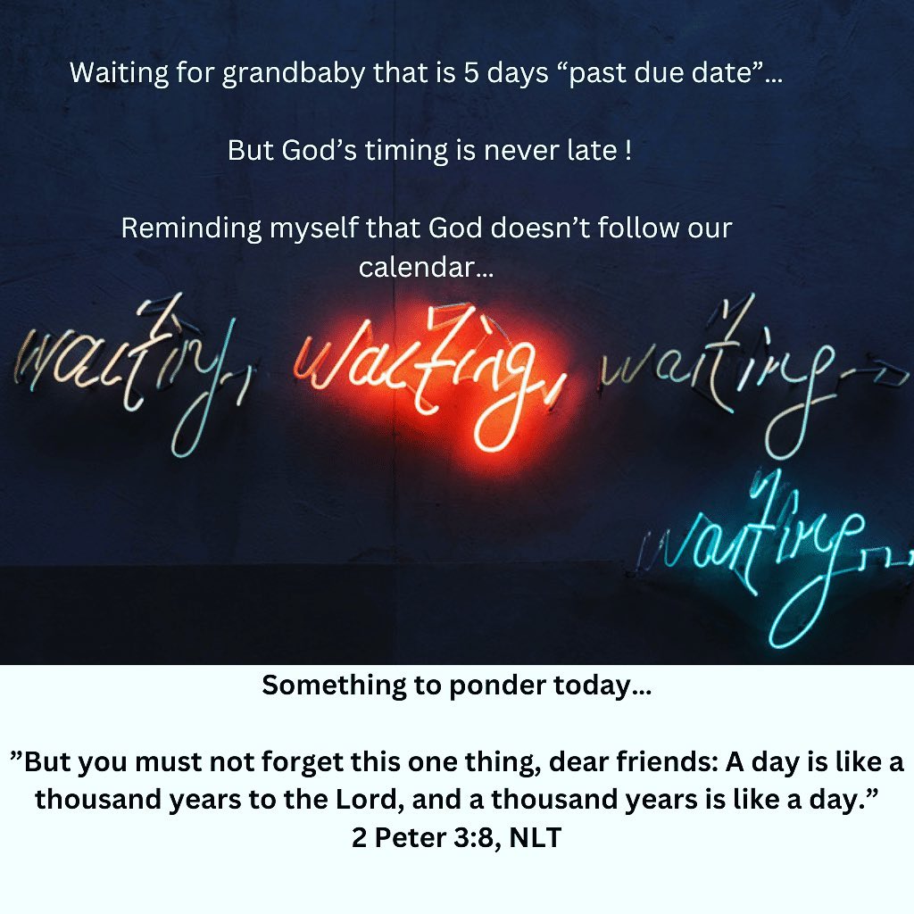 God has been dealing with my impatience and trying to move His timing along…. No coincidence that I am reading in Exodus 32 how the people of Israel were impatient with Moses taking so long on the mountain meeting with the Lord…
Trusting in God’s timing!!
(But it is not easy🥴)
#trust#patience#womenoffaith
#womenoftheword
