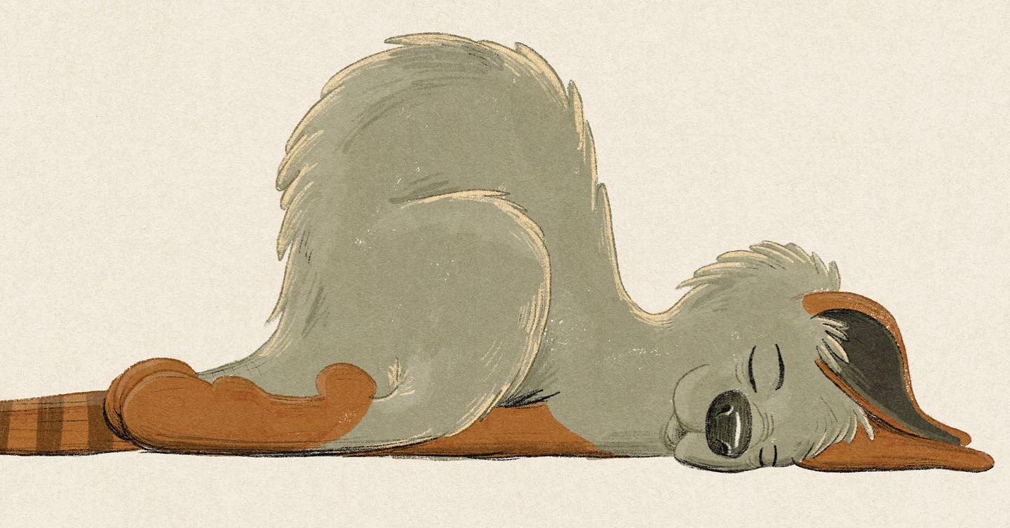 Endlich Sonntag! Zeit, auszuschlafen und zu entspannen. Genießt den Tag und schaut doch mal im Zoo vorbei oder hier auf unserer Projektseite startnext.com/gelbfuss #kanguru #sunday #crowdfunding #kinderbuch