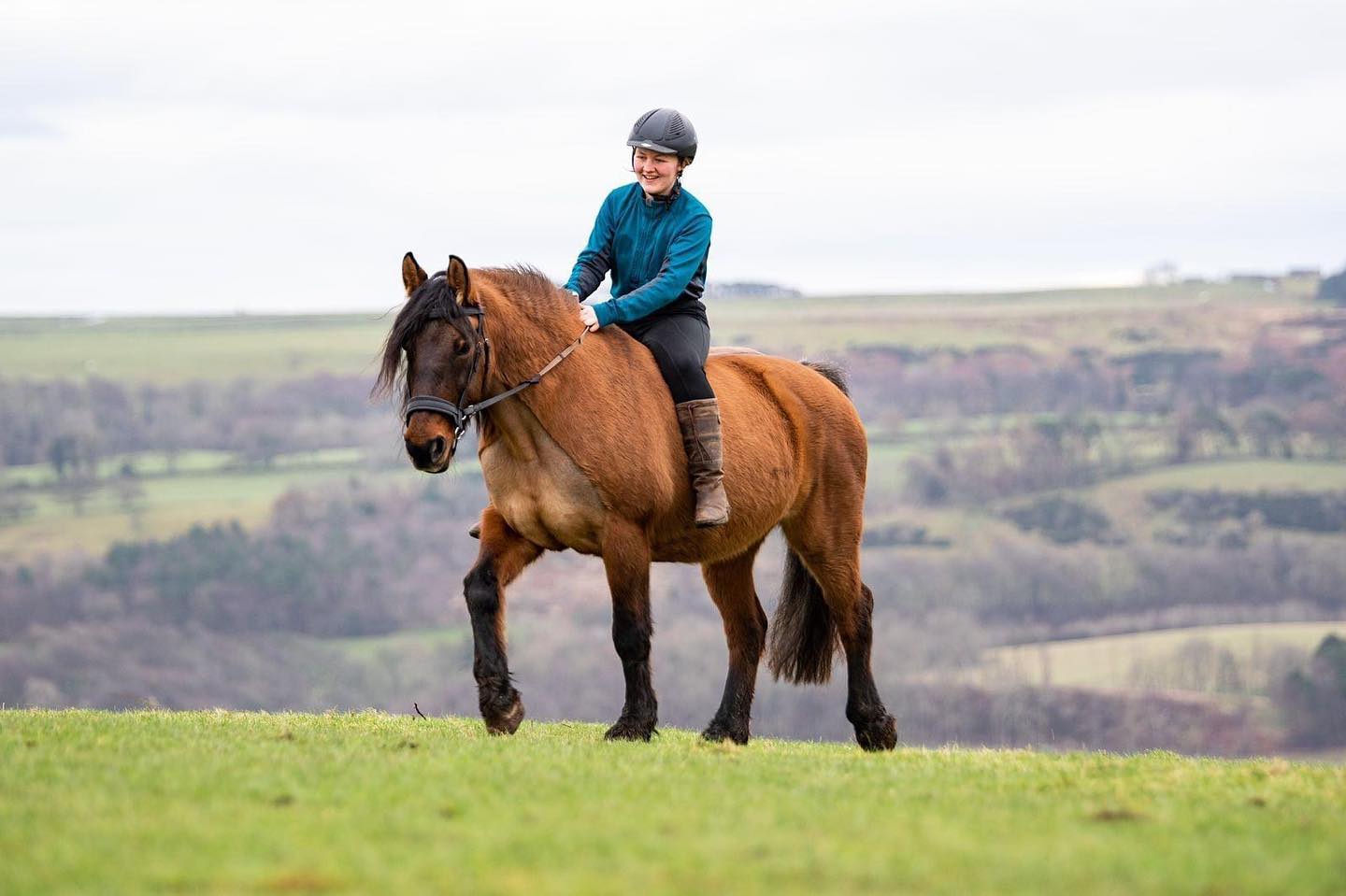Etta is such a cute looking pony, every picture turns out wonderful🥺
#transcendbitlessbridle #doublebitlessbridle #simplesidecue #bitless #freedom #connection #superiorquality #englishleather #equine #horse #pony #bespoke #naturalhorsemanship #equestrian #baroque #horseaddict #equality #tack #biothane #photography #glowup #natural #horsesofinstagram #showjumping #dressage