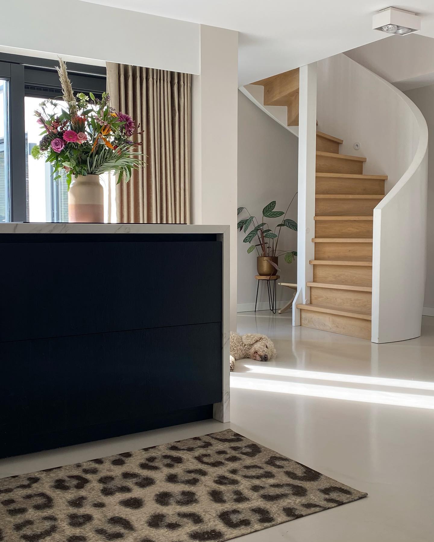 Lazy Autumn Sunshine Sunday☀️
.
.
.
#herfstzon #keuken #keukengoals #kitchen #kitchengoals #carpetrunner #dogsofinstagram #lazysunday #wenteltrap #maattrap #zwartekeuken #panterprint #fredvanleer #gietvloer #interieurinspiratie #interieurstyling #interiordesign #interieuraddict #interieuradvies #autumn #autumnsun #keukeneiland #flowers #keukenloper #houtentrap #nuenen #interior #interiorinspiration #kitcheninspiration #kitchenofinstagram