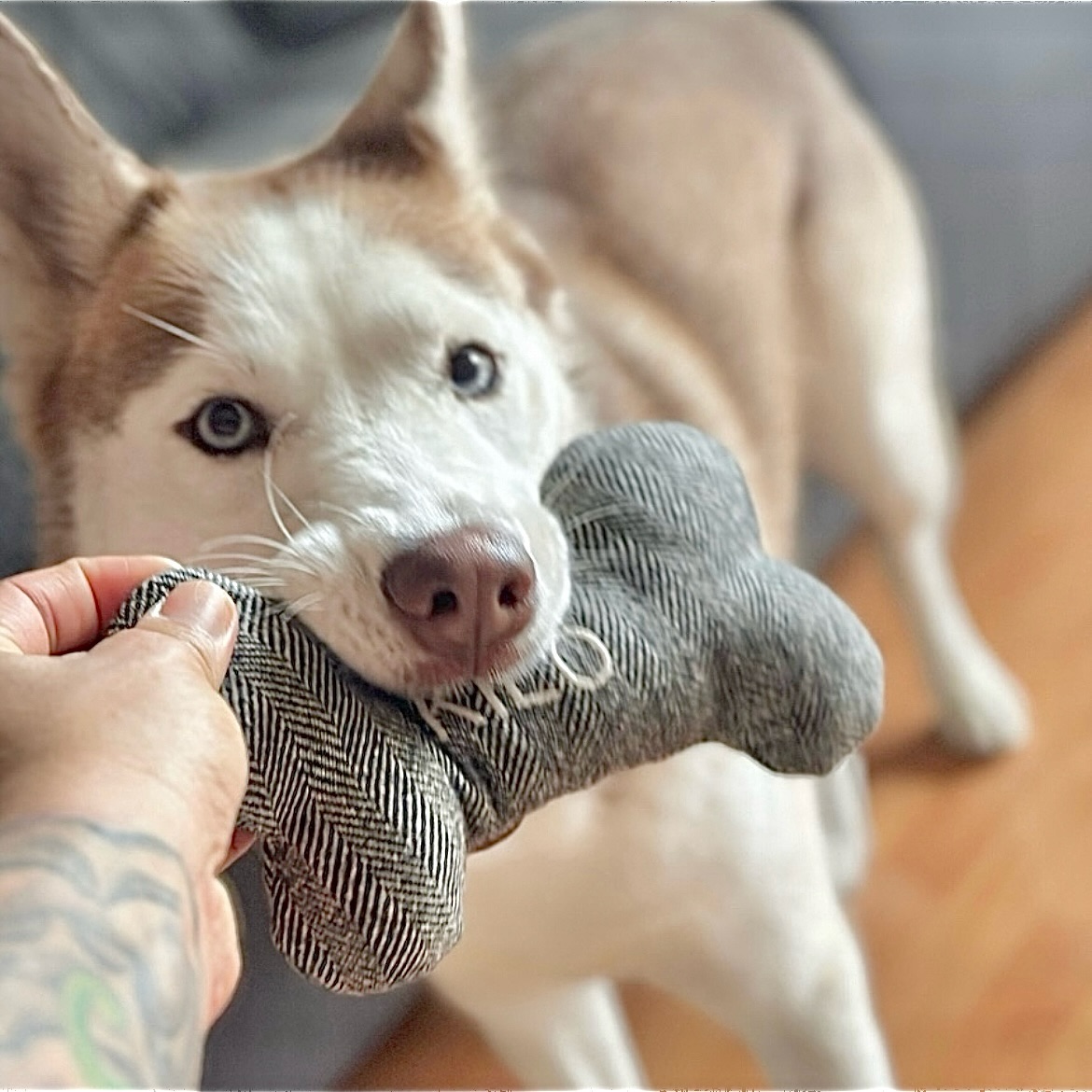 It's a rare rainy day here in the Sunshine State but this photo always brightens up my day ☀️