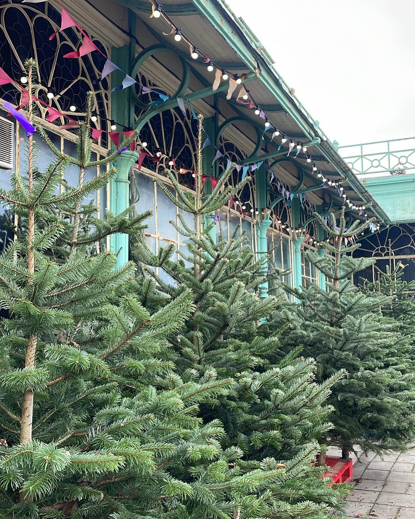 ** Our pitch will be CLOSED tomorrow due to a daytime event at Concorde **
We’ll be back from 10am Sunday 🎄🎄🎄